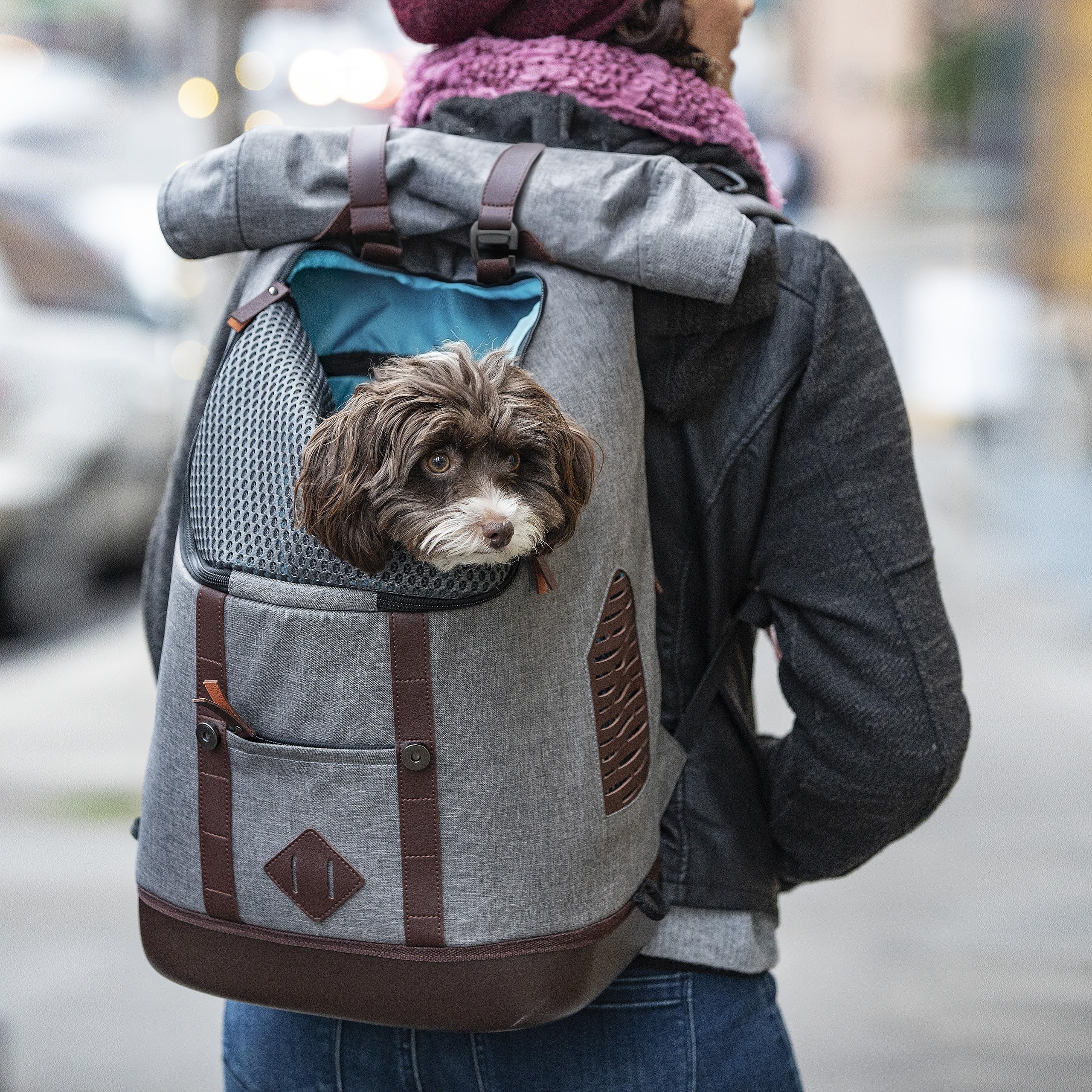 Kurgo Mochila Transportín para Mascotas Pequeñas | Manos Libres, Base Armorsole, Convertible en Transportín, Tela Resistente