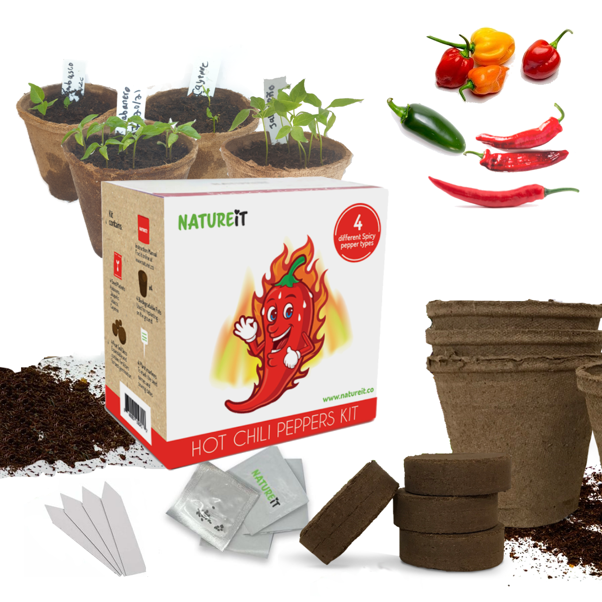Amazon.com : Hot Chili Peppers Seed Starter Kit - Grow 4 Spicy