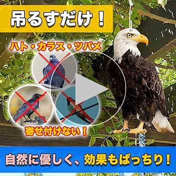 タカヨシ様 リクエスト 4点 まとめ商品 タカヨシ様 リクエスト 4点 まとめ商品 タカヨシ様 リクエスト 2