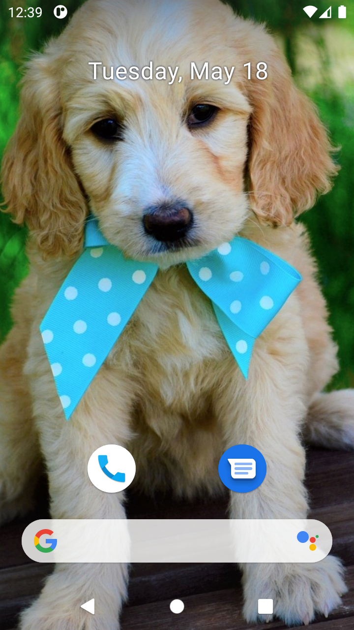 Cute Dog Wallpaper App on Amazon Appstore