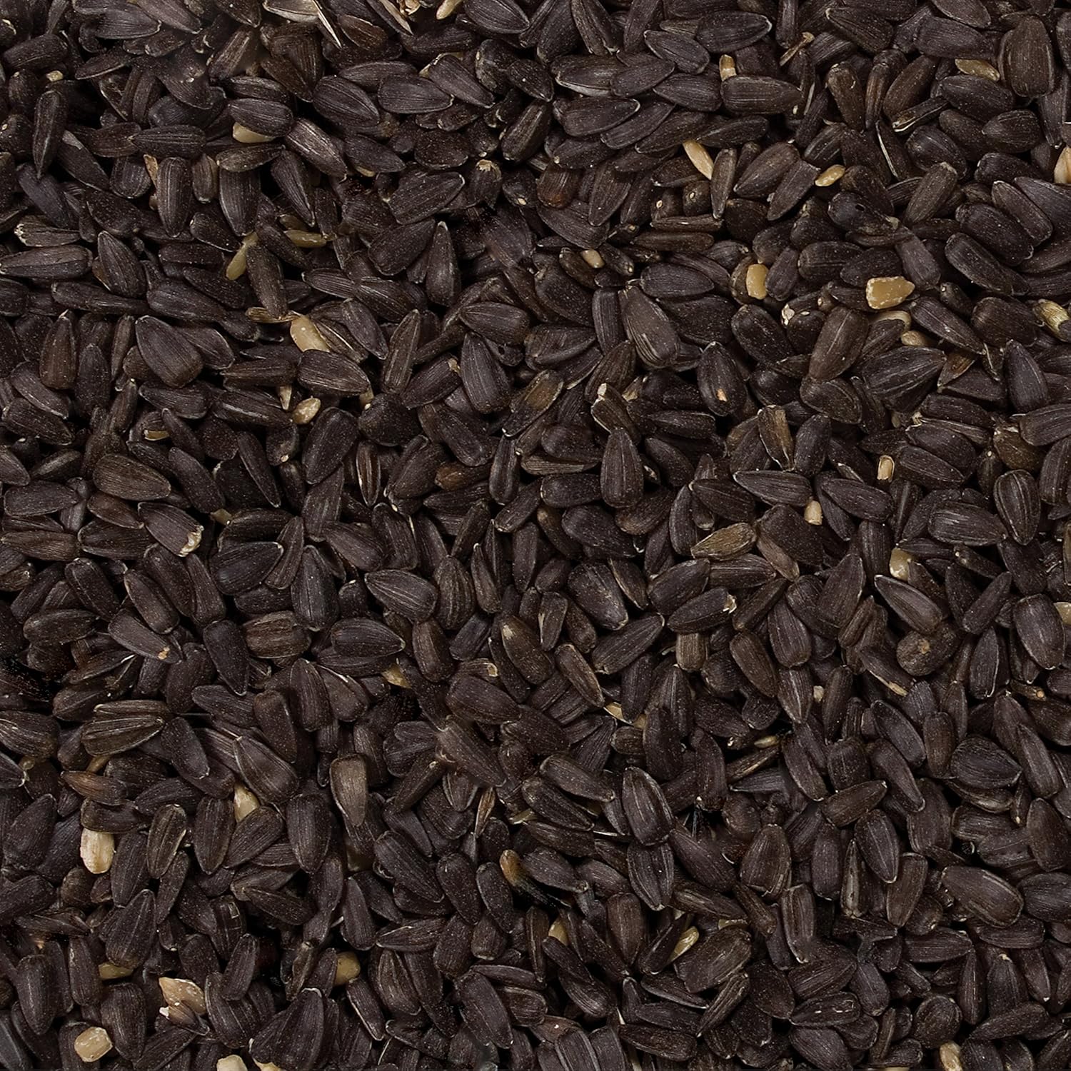 Wild Delight Premium Grade Black Oil Sunflowers (20 lb. Bag)