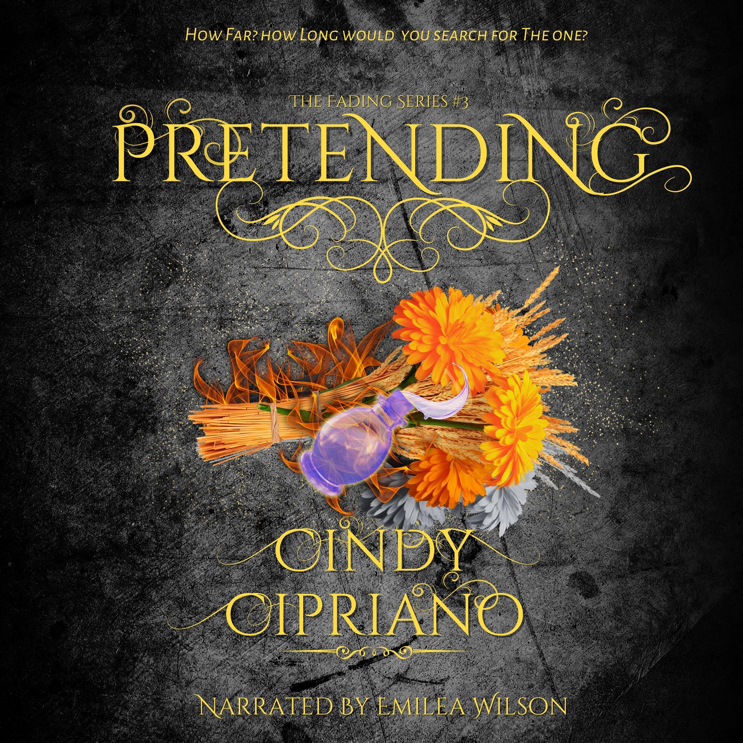 Cover art for Pretending: Fading, Book 3