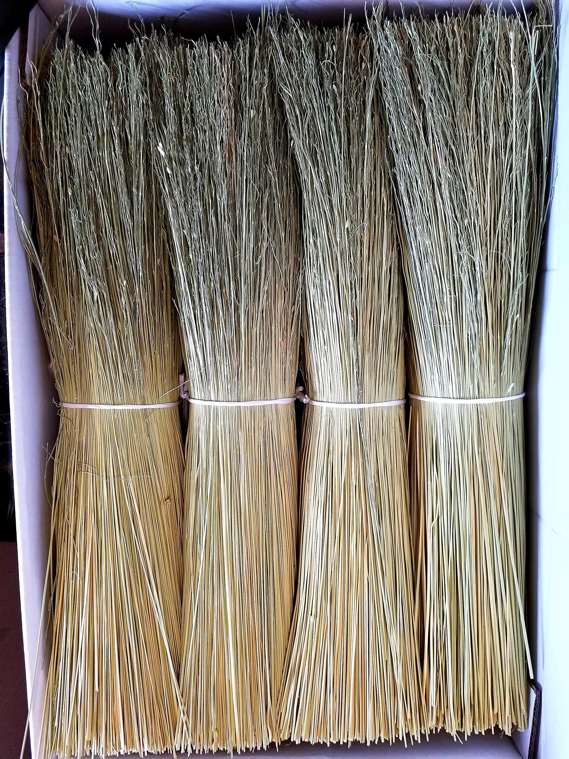 Amazon.com: Broom Corn for Crafting and Broom Making 10 Pound Bundle 20 ...