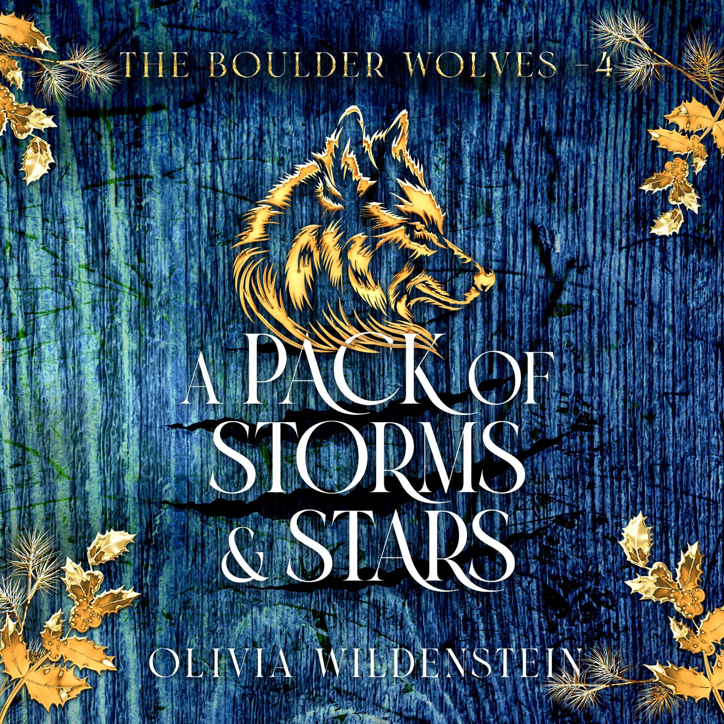 Cover art for A Pack of Storms and Stars