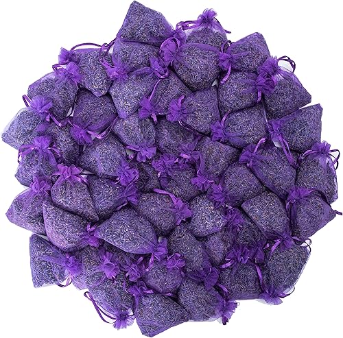 Lavande Sur Terre LV-S-C-48-1 - Bolsas de lavanda francesa para cajones y armarios, aroma fresco, juego de 48, bolsitas de fragancia para el hogar