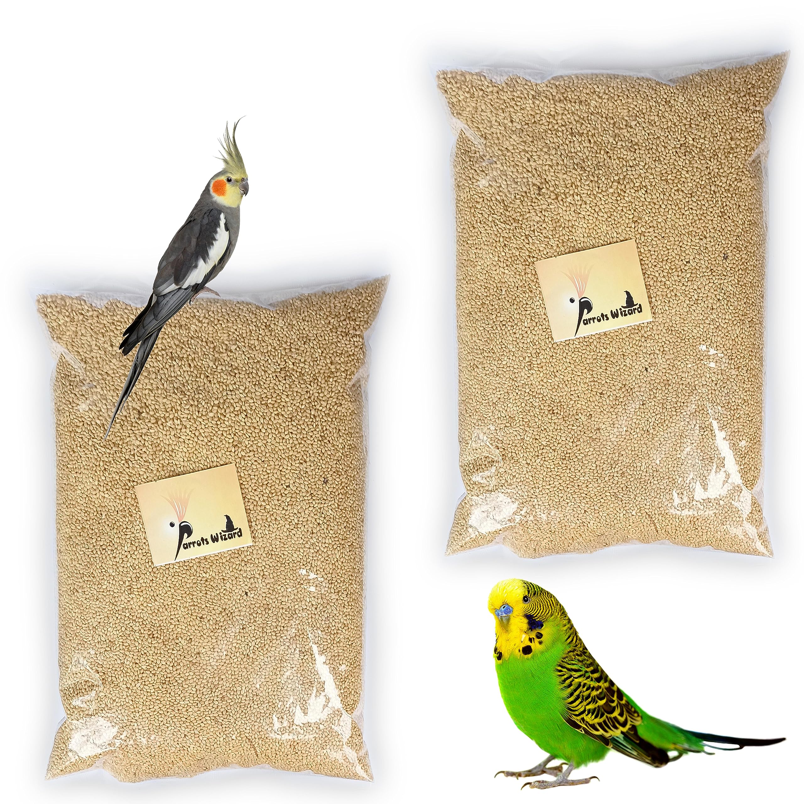 Parrots Wizard , Small Size Kangni Bird Food [Each 950 Gram ] Pack Of 2, Dry, Fruit (B09FY1FXNB) Amazon Price History, Amazon Price Tracker