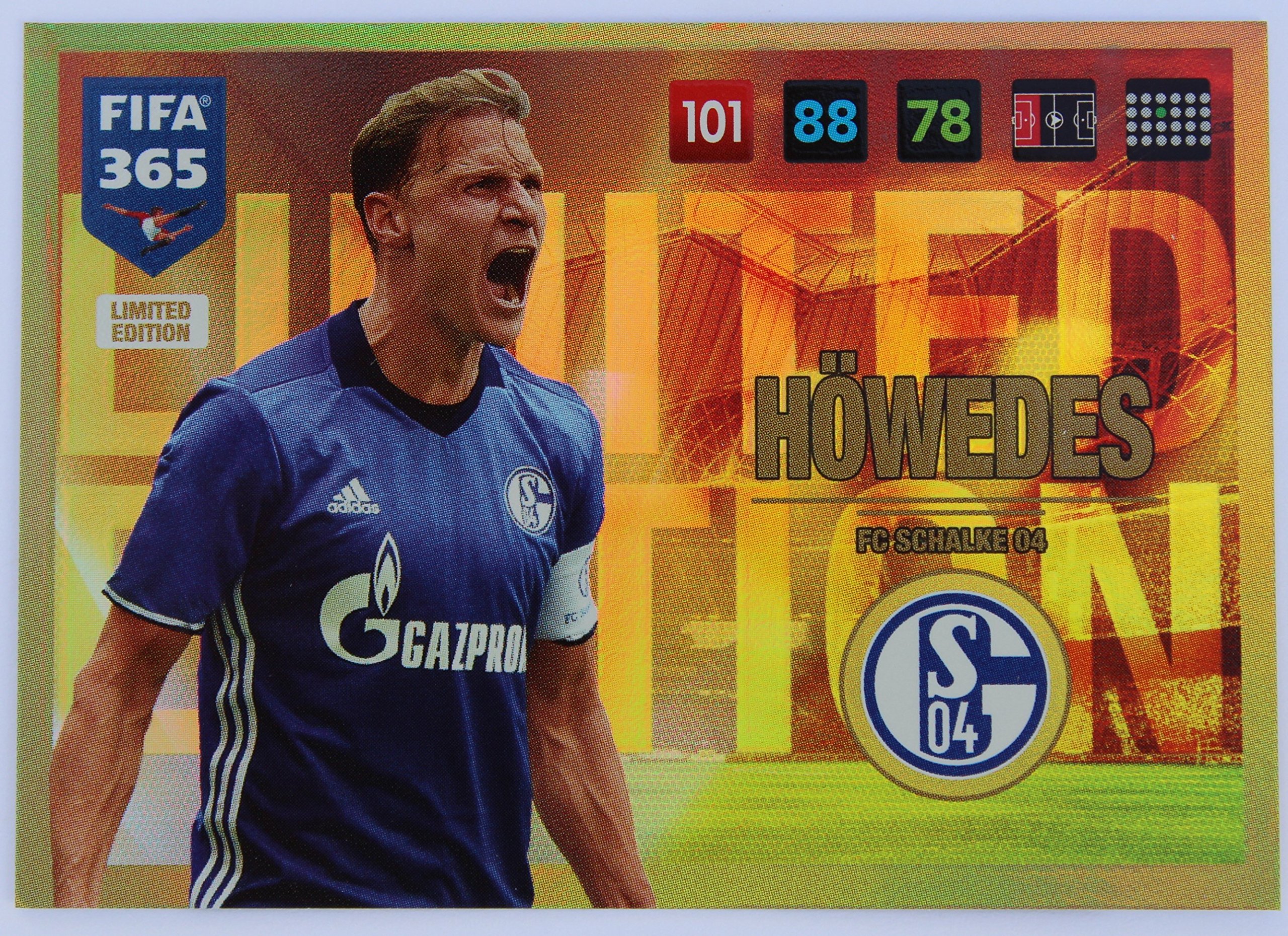 Panini Adrenalyn FIFA 365 2017 Limited Edition Höwedes FC Schalke 04 :  Amazon.com.be: Toys