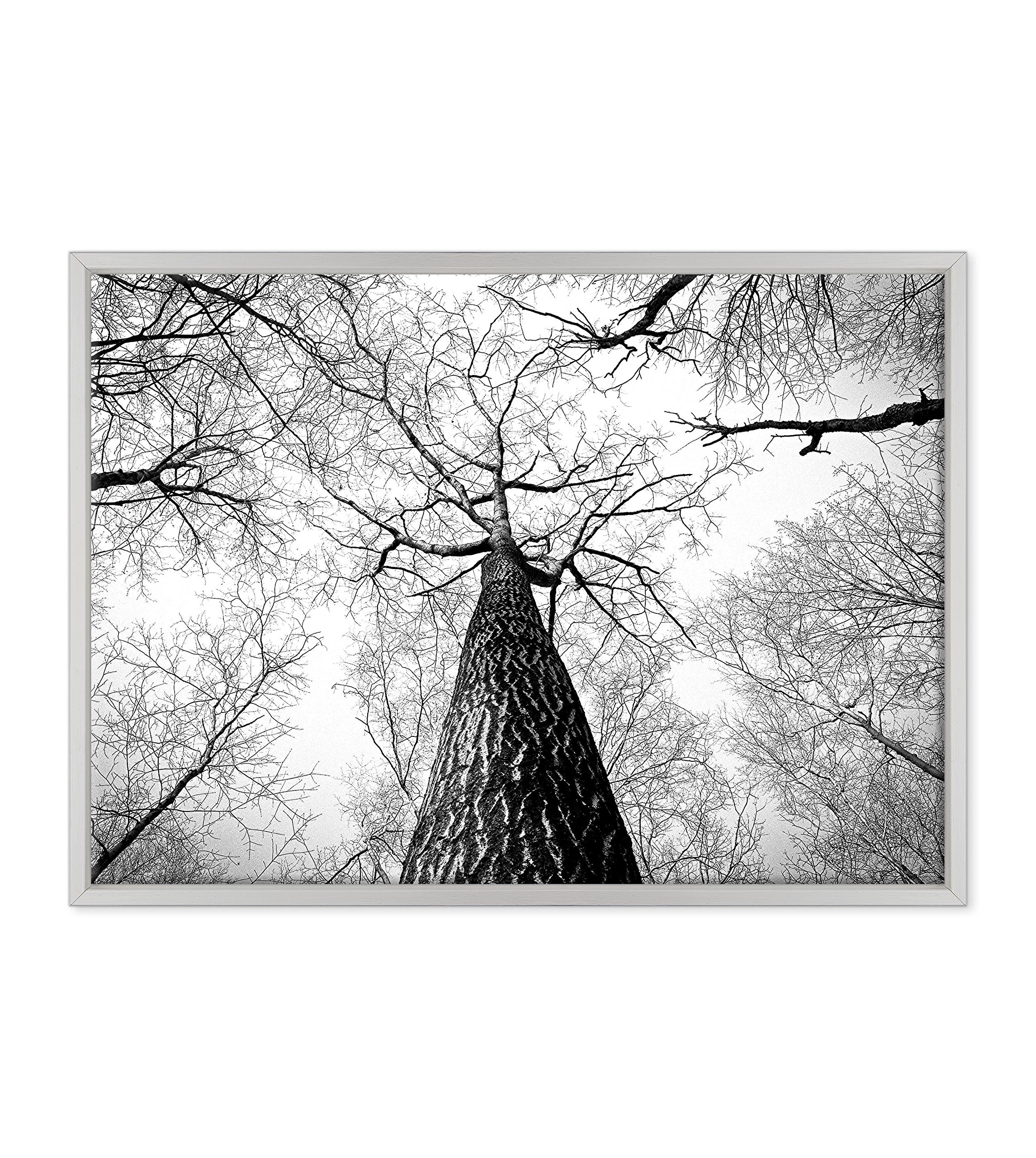 Quadro su Tela Canvas INTELAIATO - con Cornice - Alberi Foresta Bianco e Nero - Paesaggio Natura Panorama - 50x70cm - Stile Moderno Bianco - (cod.4356)