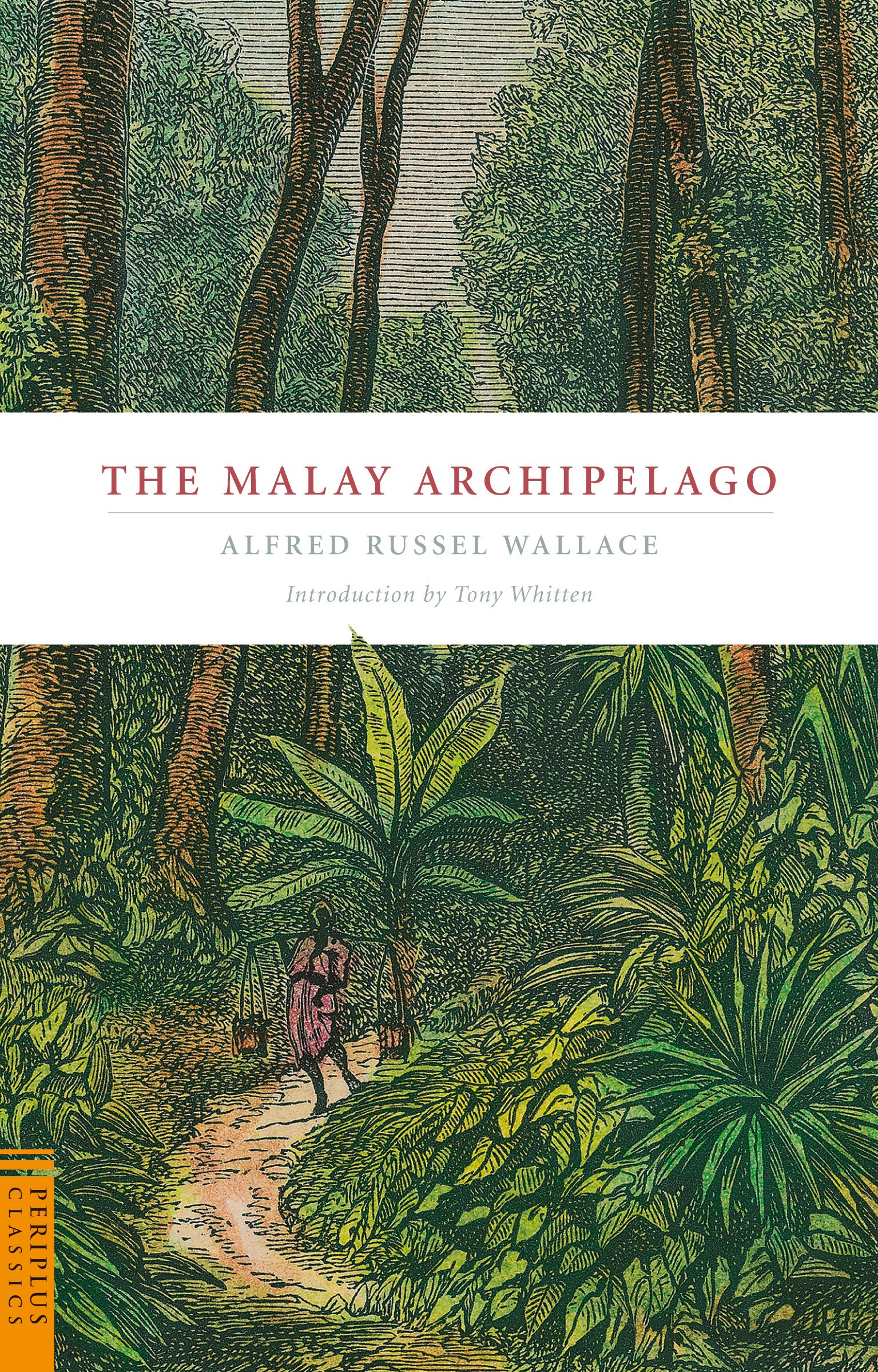 Buy The Malay Archipelago Online at desertcartUAE