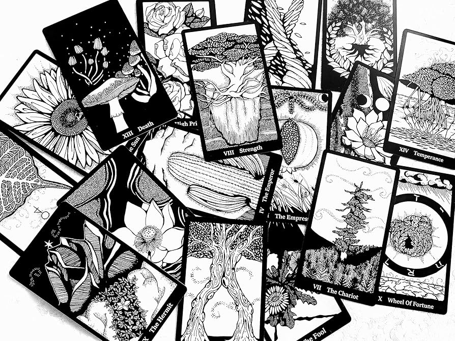 希少terra bolatile tarot ・ expansion 本セット Terra