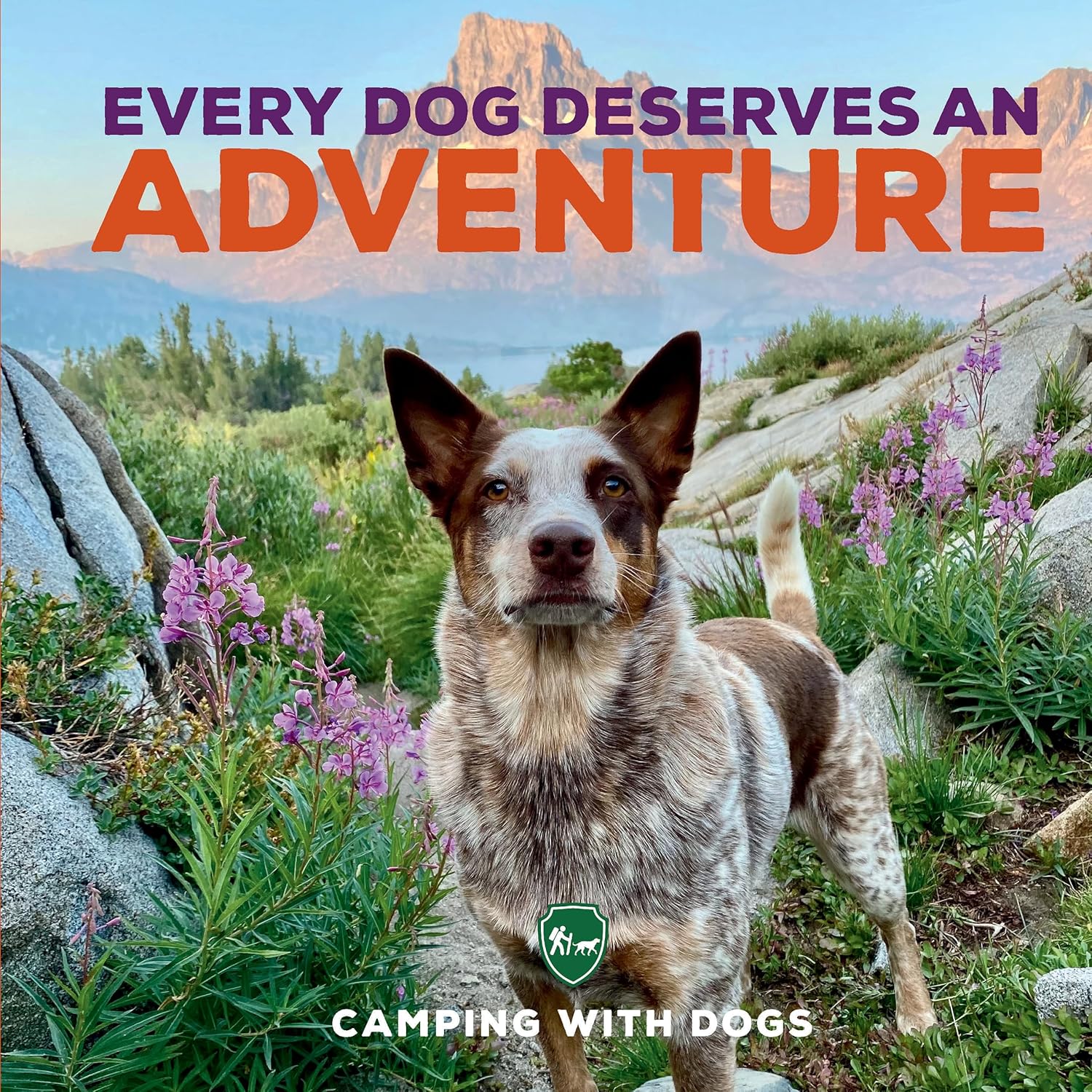 Unforgettable Camping Adventures: Inspiring Stories with Dogs