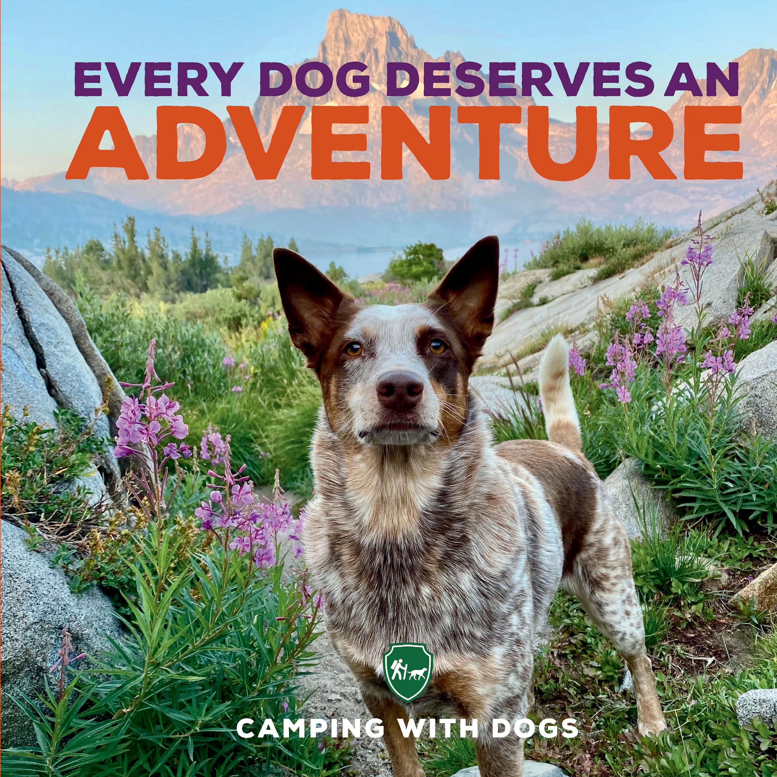 Every Dog Deserves an Adventure: Amazing Stories of Camping with Dogs