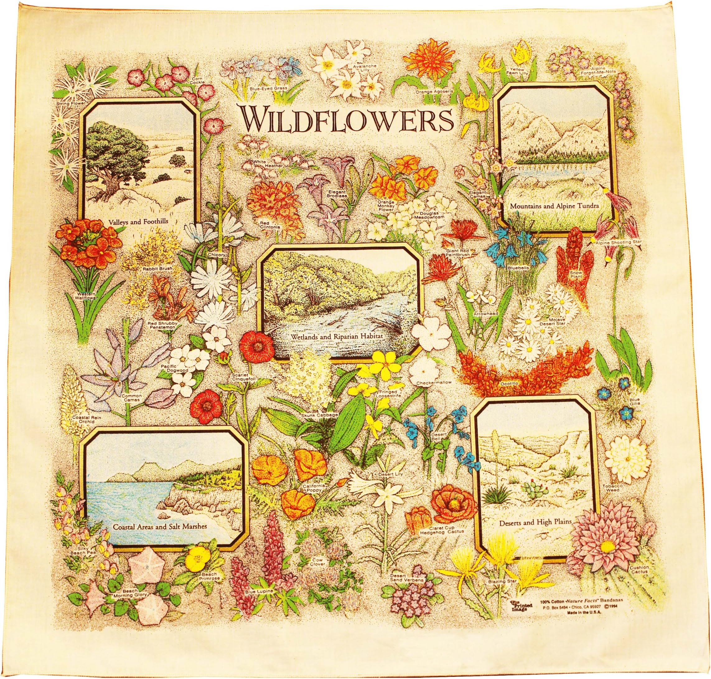 The Printed ImagePrinted Image SOO361-B Flowers Bandana