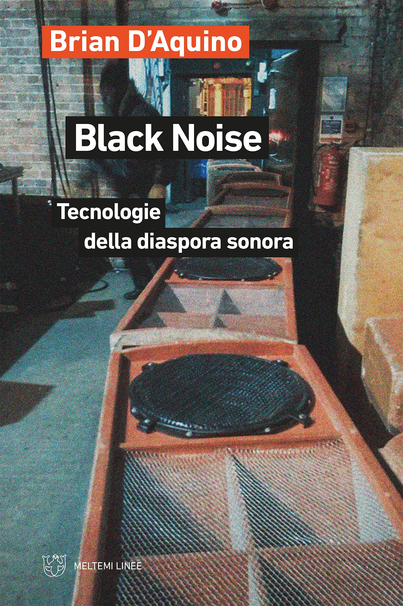 Black Noise diaspora sonora Livre italien sur la culture musicale et afro-américaine