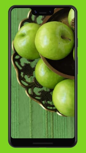 Green Color Wallpapers & Backgrounds – vue 6