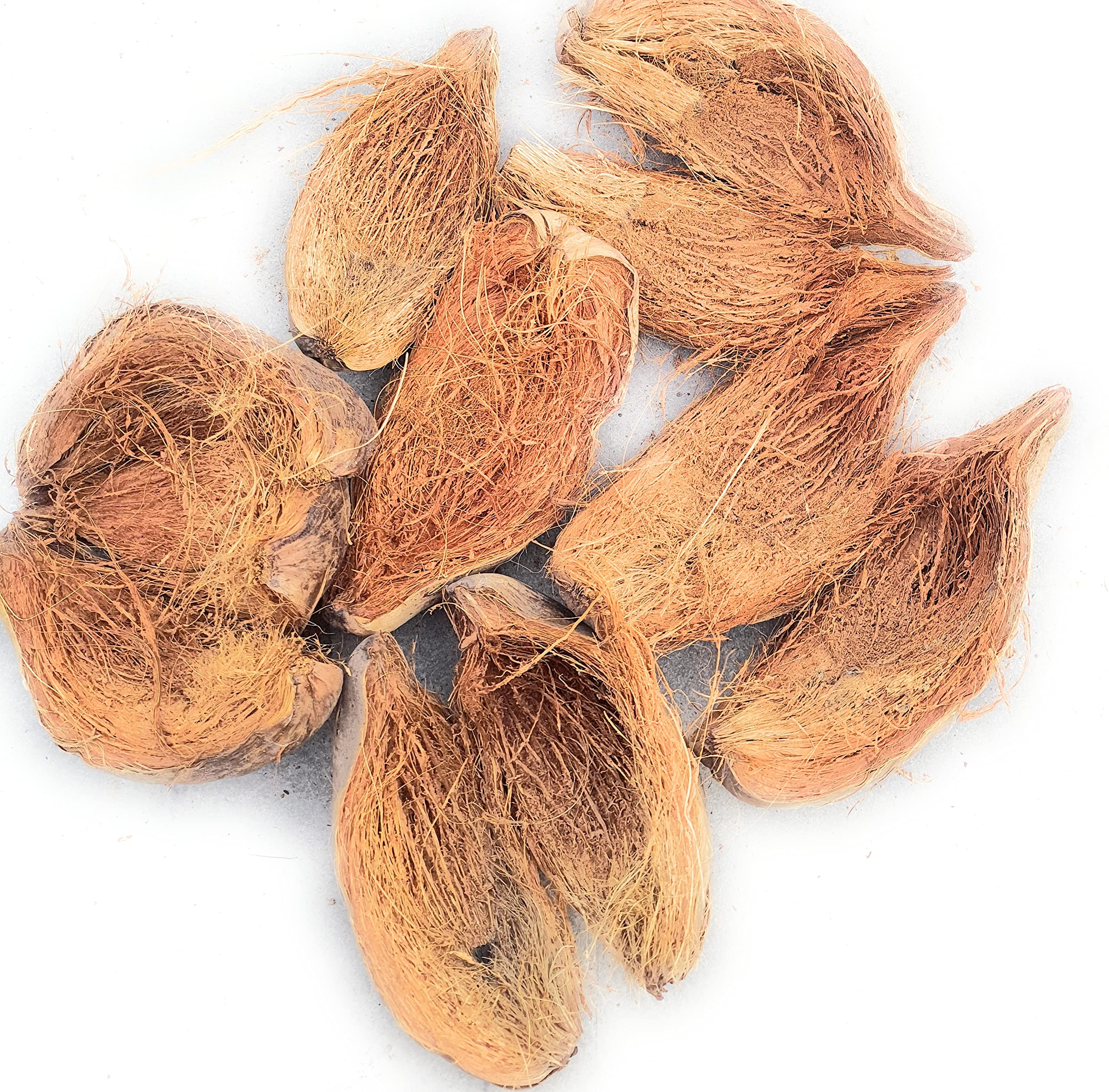 See full amazon price history chart for Nalla Coconut Husk raw 1 kg Nalla Coconut Husk raw 1 kg (B09SDYJ7LM) Amazon Price History, Amazon Price Tracker