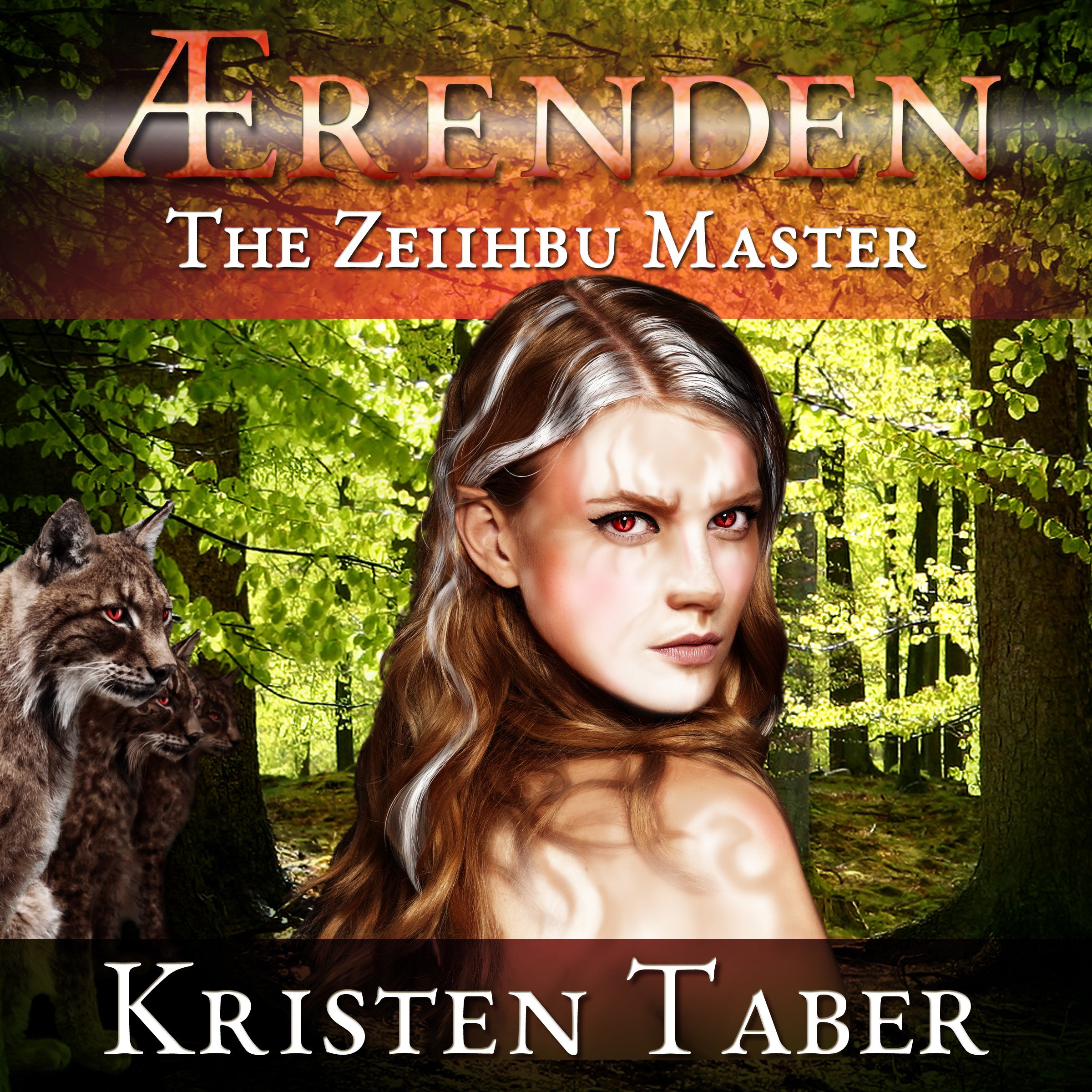 Cover art for Aerenden