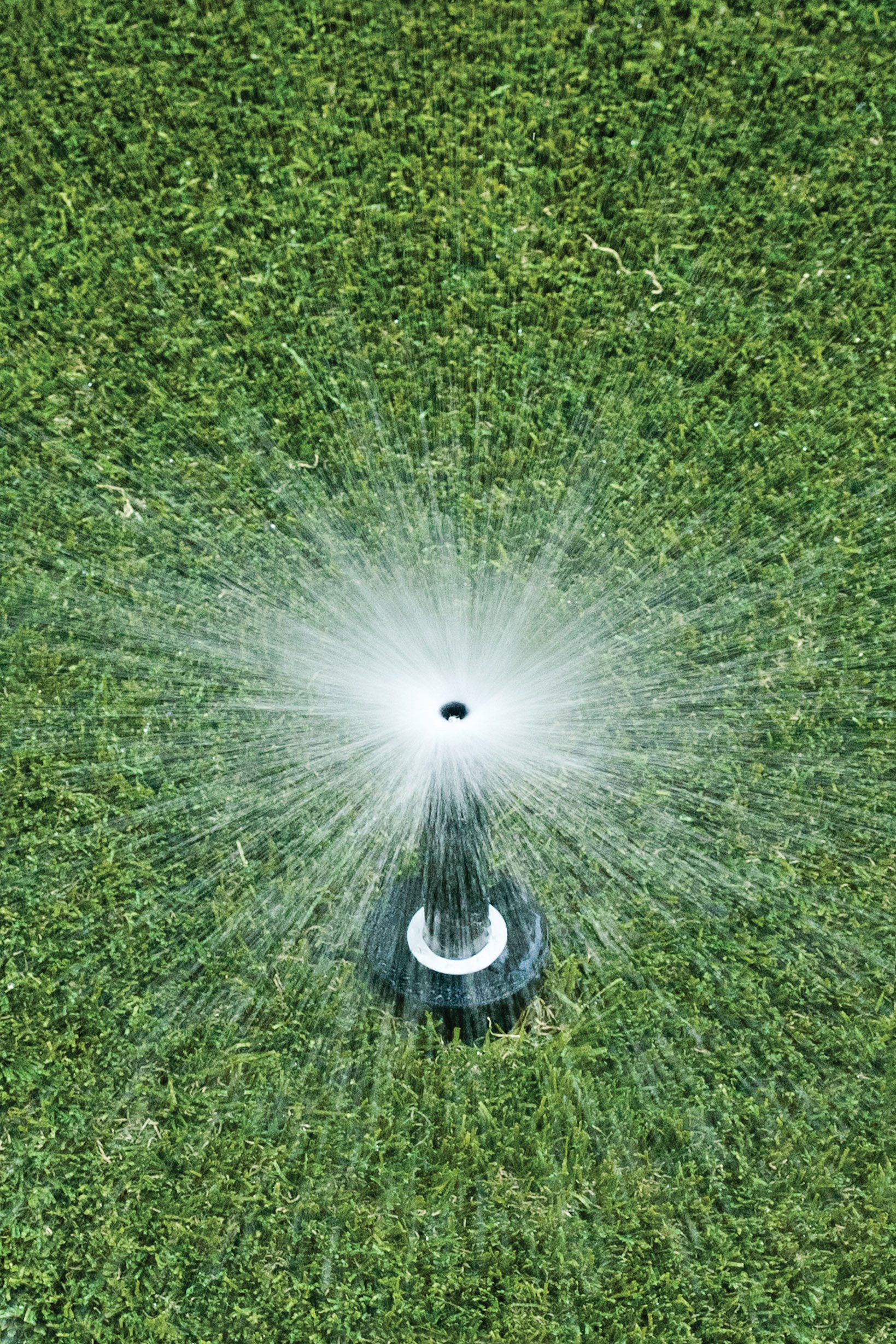 Buy Rain Bird 1804FDS Professional Dual Spray PopUp Sprinkler, 360