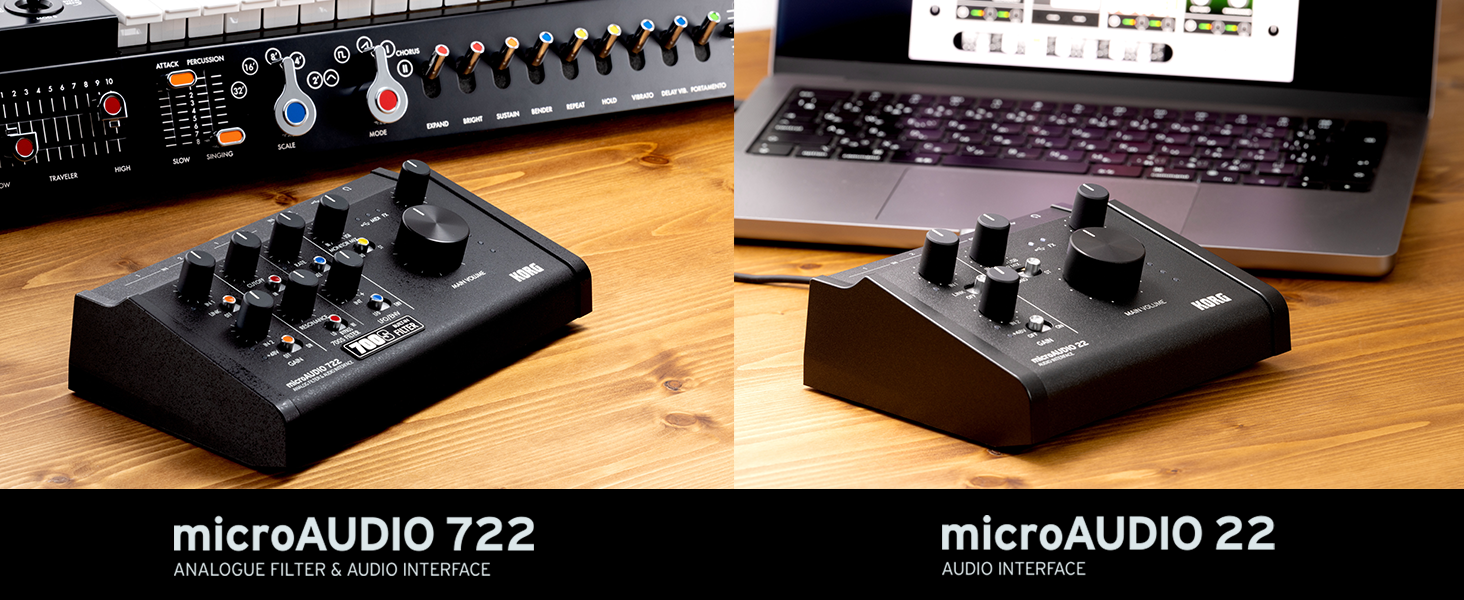 Amazon.co.jp: KORG(コルグ) オーディオインターフェース microAUDIO