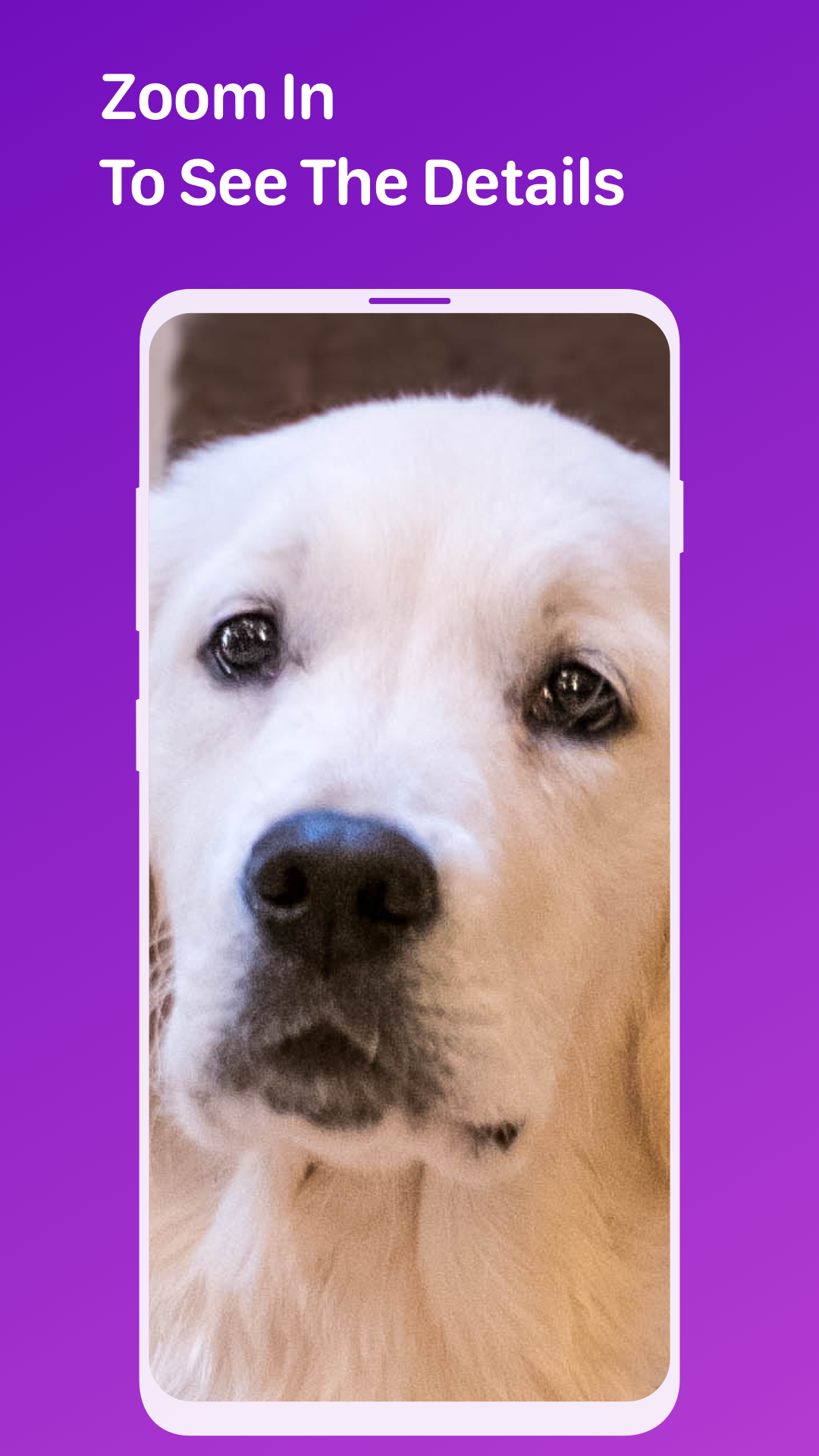 Pet Monitor VIGI App on Amazon Appstore