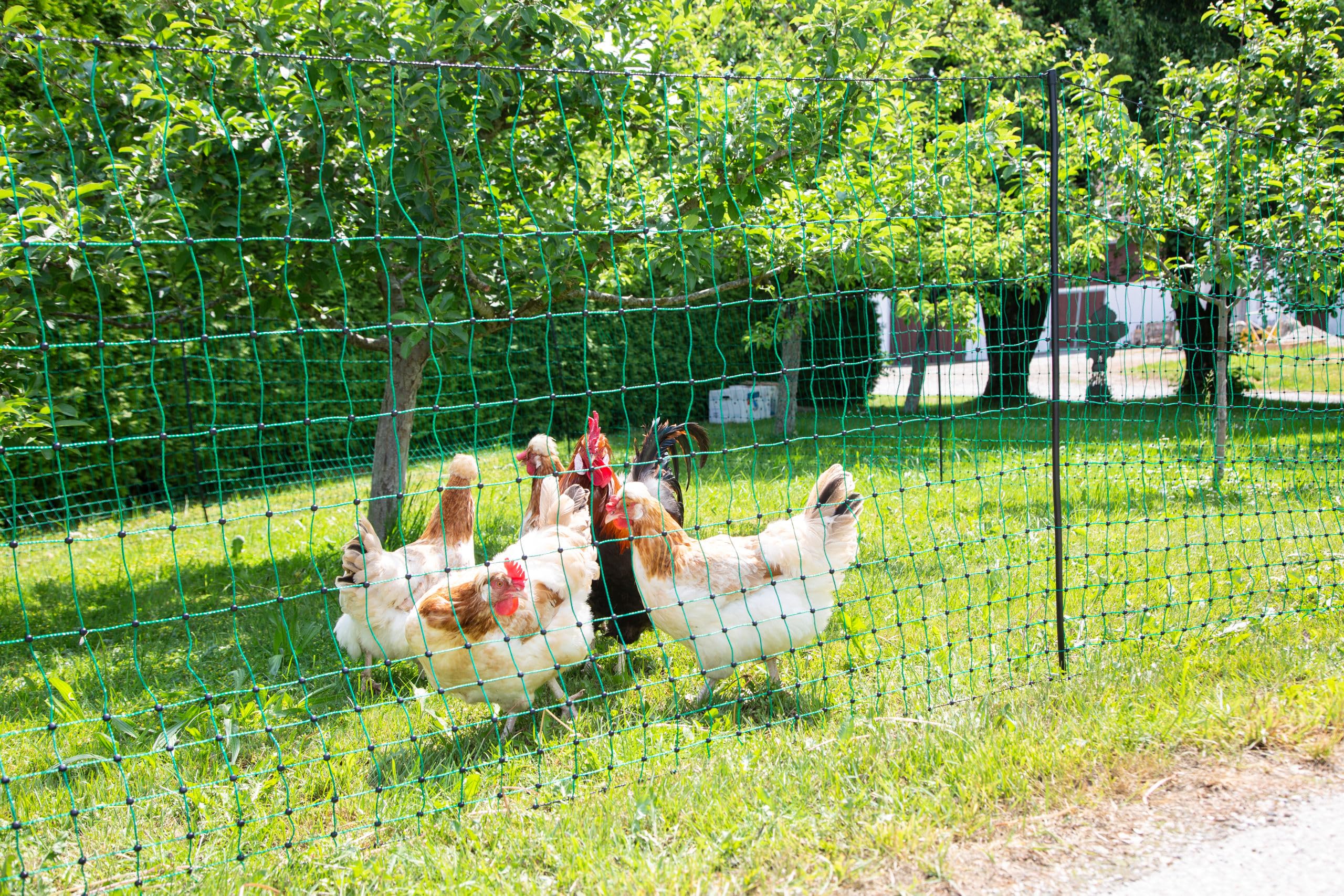 Kerbl Hobbyfarming PoultryNet, 106cm, 15m, Red para Aves de Corral, Cerca eléctrica, electrificable, Doble púa, Verde, 6 Postes, para Pollos, Gansos y Pavos, garantía de 3 años de Estabilidad UV