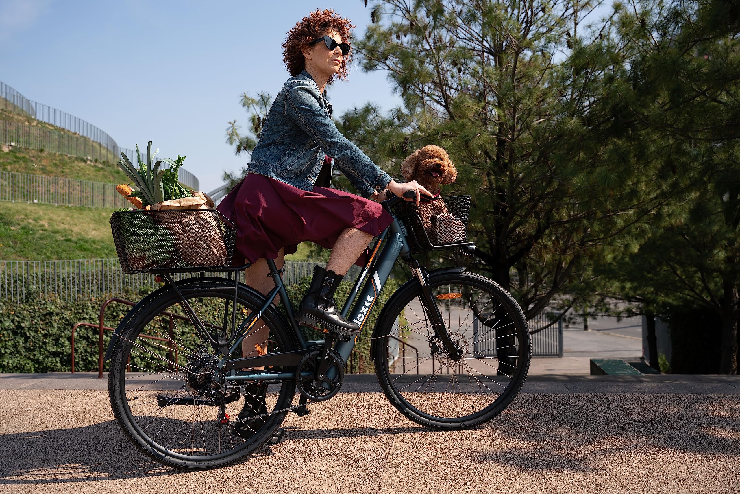 Nilox, Ebike Cargo Mid, Bici Elettrica Fino a 15 kg Anteriori e 50 kg Posteriori, Autonomia fino a 60 km, Motore BAFANG M400 250W, Batteria 13 Ah 468 Wh, Freni idraulici e cambio SHIMANO 7 velocità