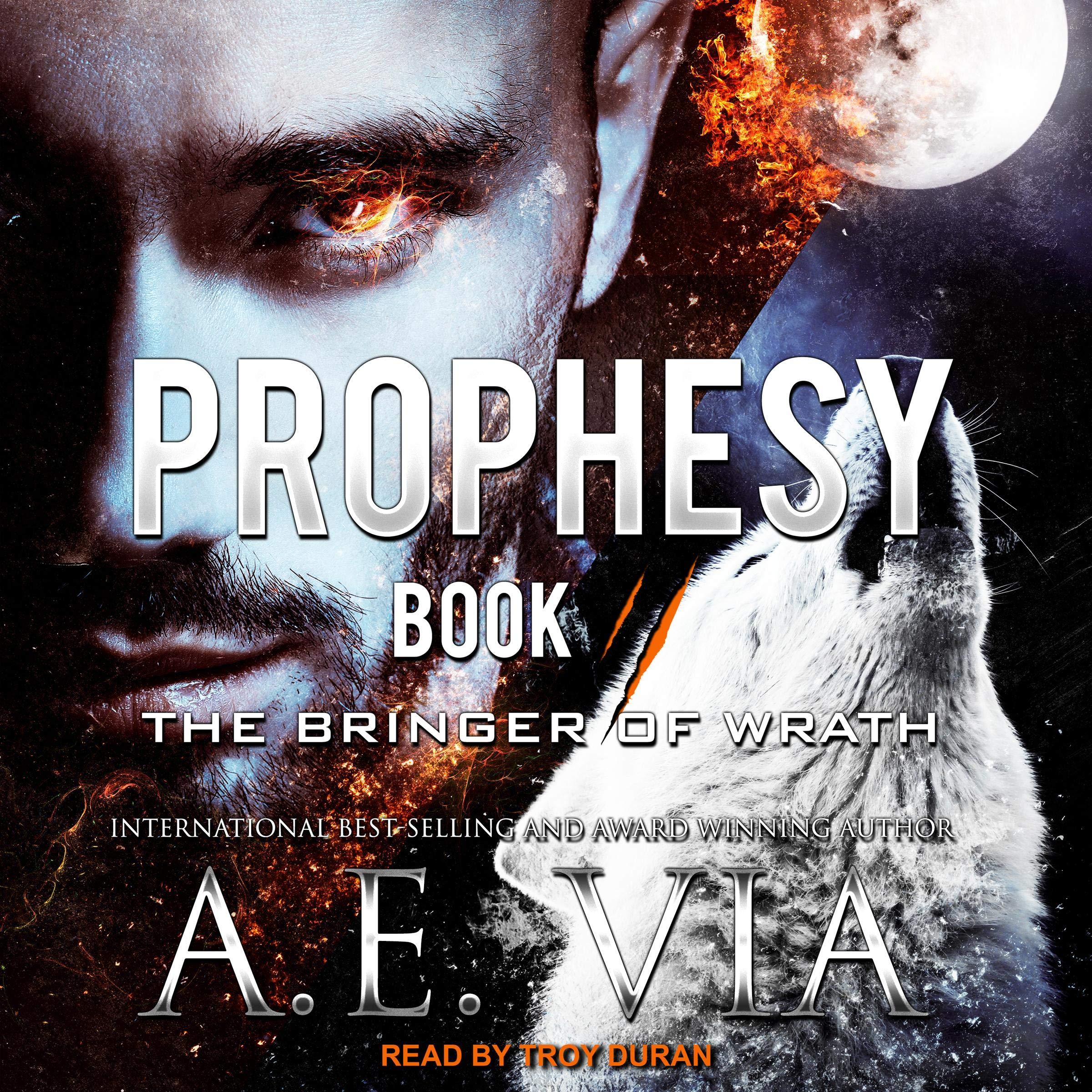 Cover art for Prophesy: Book II: The Bringer of Wrath