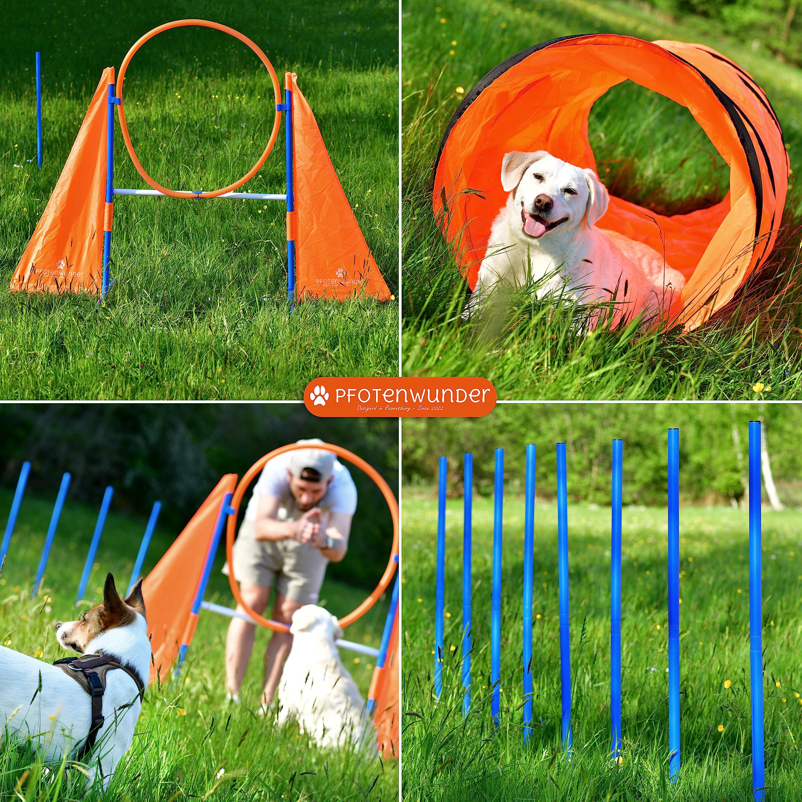 PfotenWunder® XXL-Profi-Agility Set Hunde Groß + 3 Meter-Tunnel + 21 Min. HUNDESCHULE -6 Slalomstangen, für kleine & große Hunde-Training Sport Cavaletti Parcour Steckhürdenset Zubehör Hürden