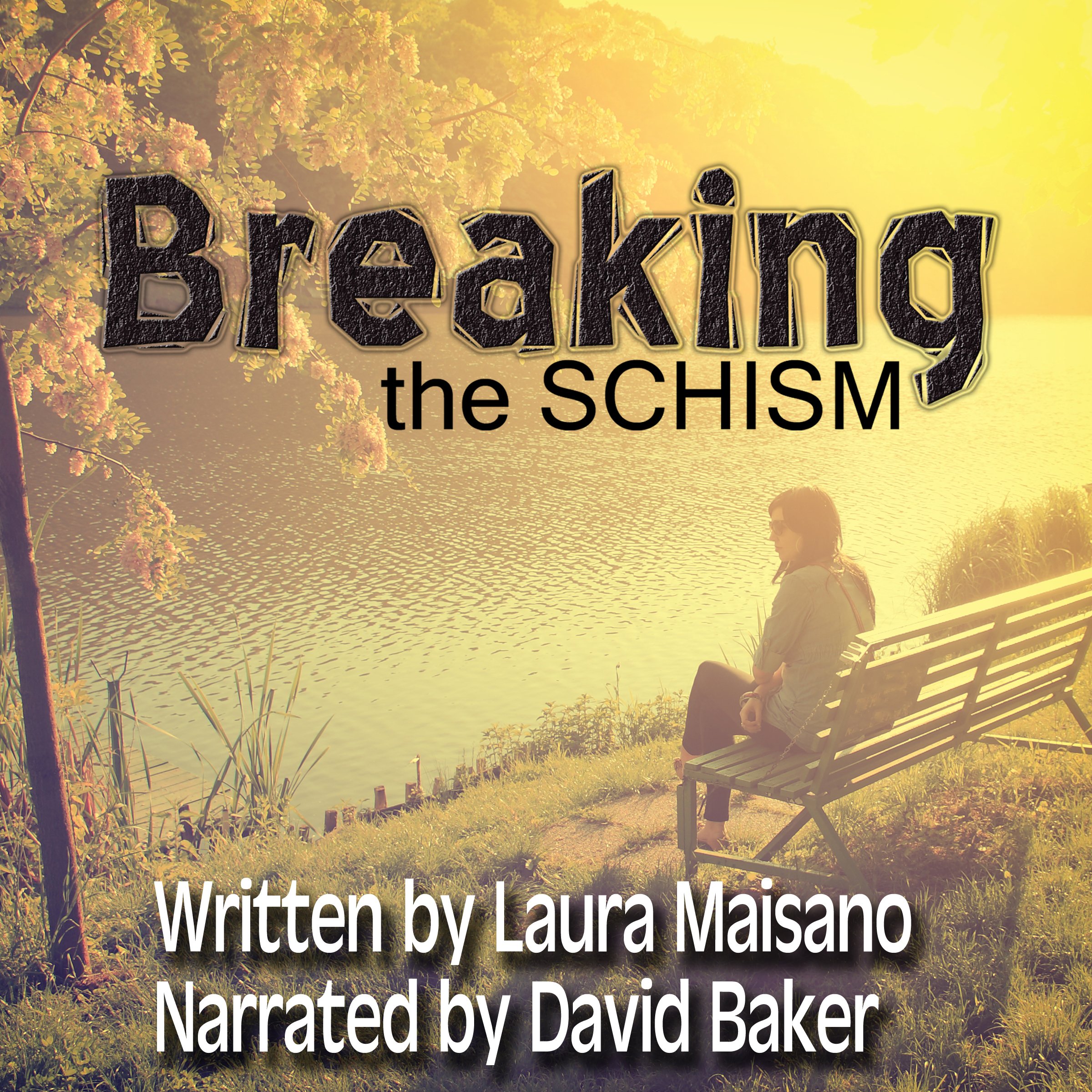Cover art for Breaking the SCHISM