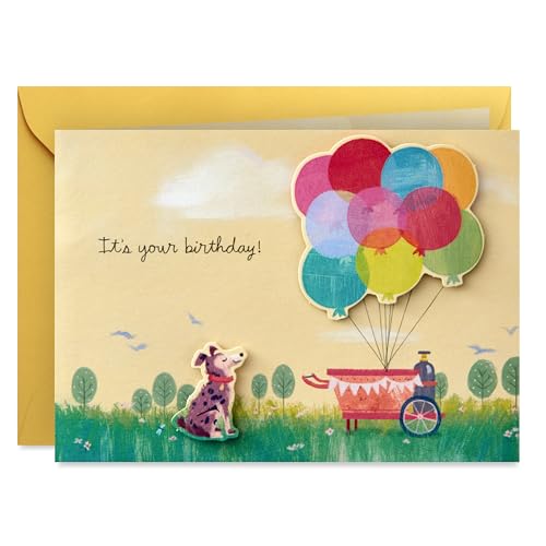 Hallmark Paper Wonder Pop Up Birthday Card...