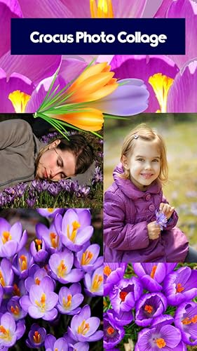 Crocus Photo Collage