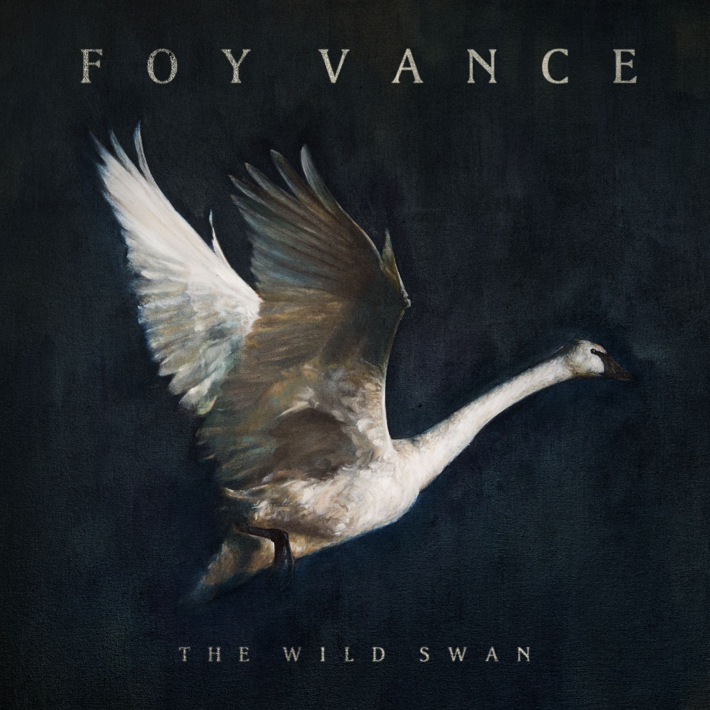 Foy Vance Wild Swan LP Vinyl NEW