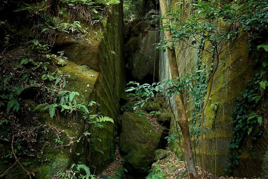 Amazon.co.jp: 廃墟賛歌 廃道ビヨンド Obroad Beyond [DVD