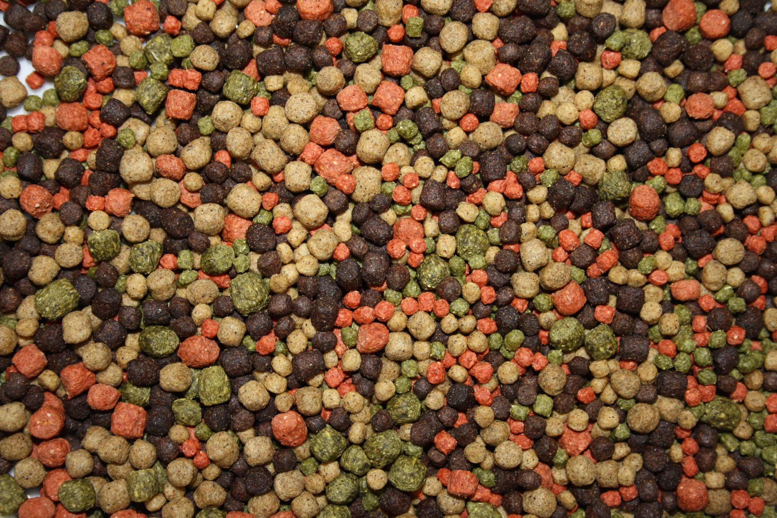 Koifuttermischung, Koifutter, Schwimmfutter, Premium Koimix, 4farbig Rot-Grün-Weiß-Braun, Teichfuttermix, Spirulina, Astax, Paprika, Krillmehl.Koifuttermix für Koi + Teichfische 15kg, 3 + 5mm gemischt