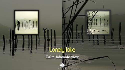Lonely Lake - Calm Lakeside View