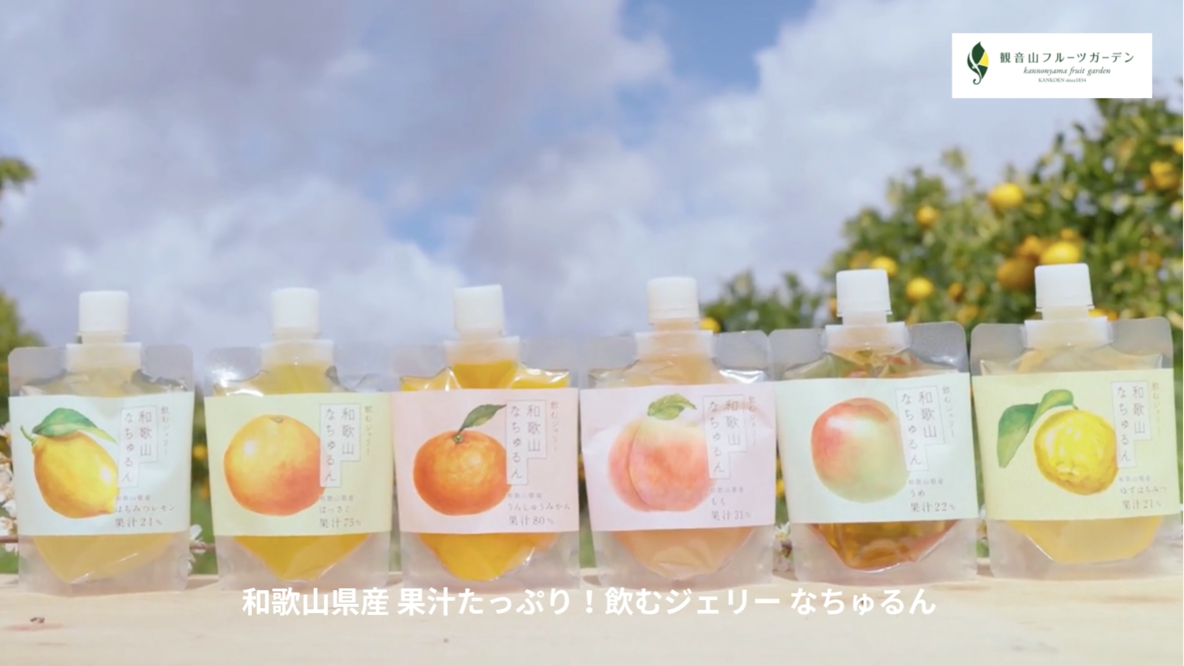 Amazon.co.jp: なちゅるん 和歌山県産 飲むジェリー 150g 観音山