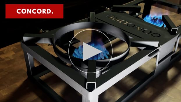 Amazon.com: CONCORD THE BLOCK BURNER MAX Double Propane Outdoor