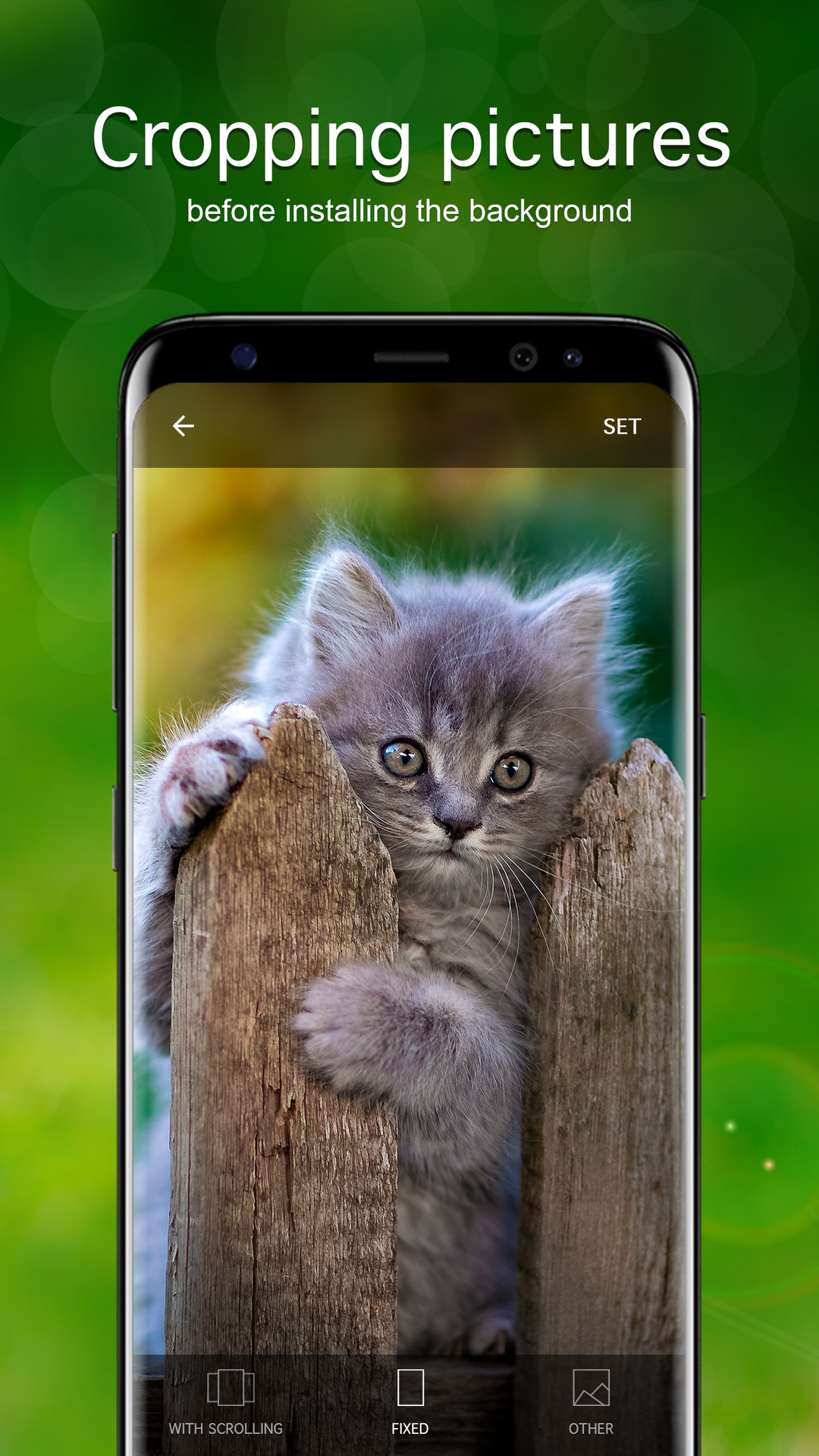 Kitten Wallpapers and Backgrounds apps 4k - App on the Amazon Appstore