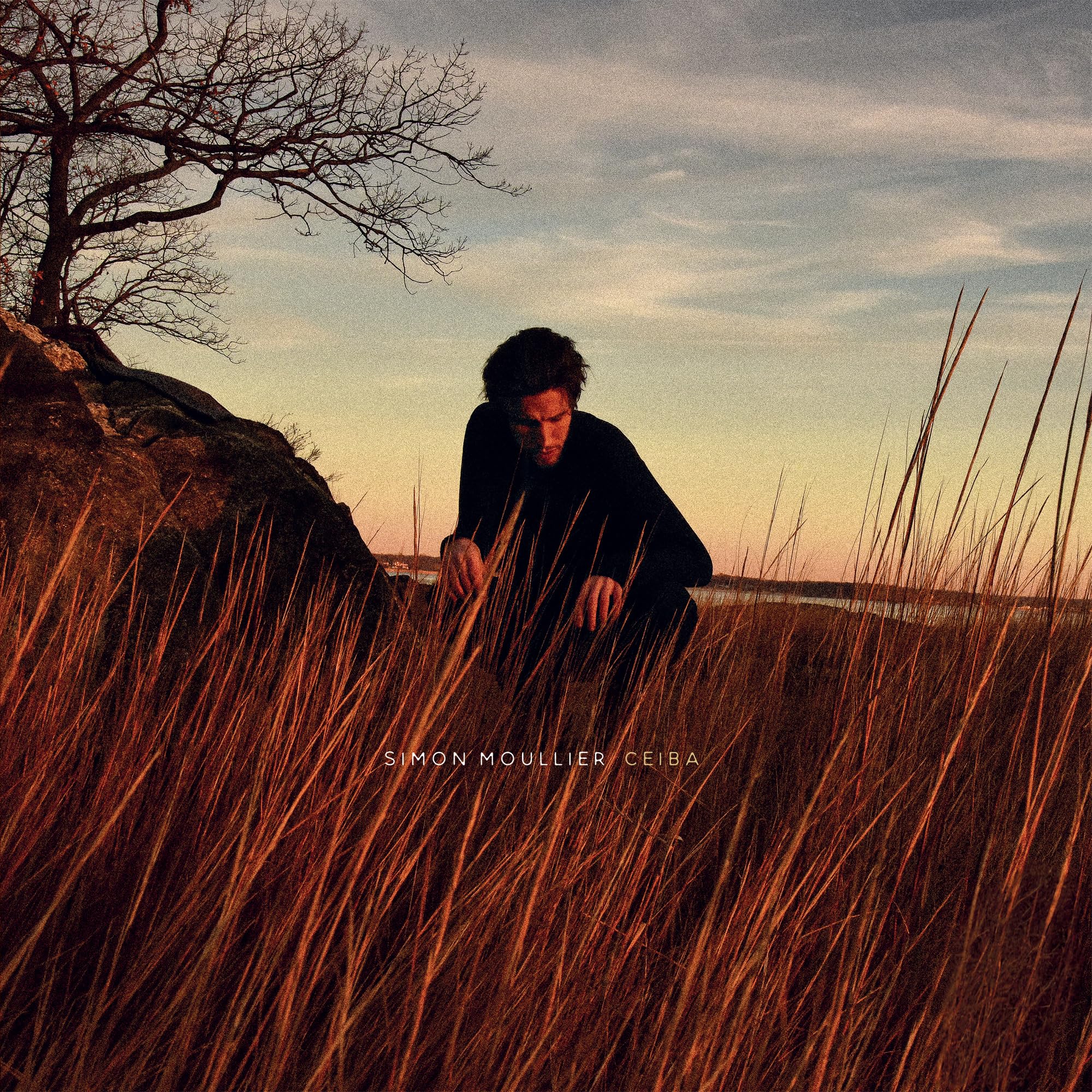 Ceiba [VINYL]
