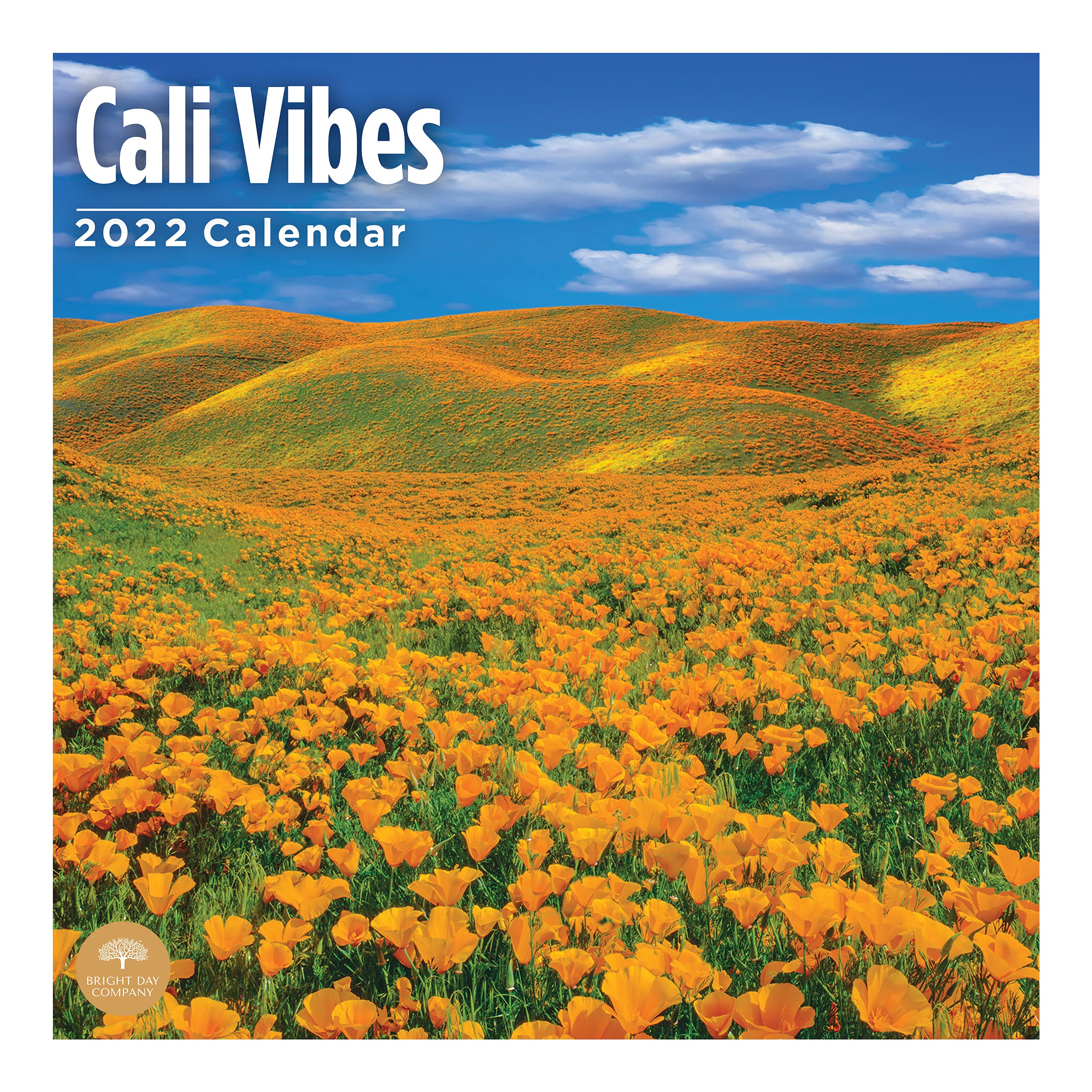 2022 Cali Vibes Wall Calendar by Bright Day, 12 x 12 Inch, Beach Sun California