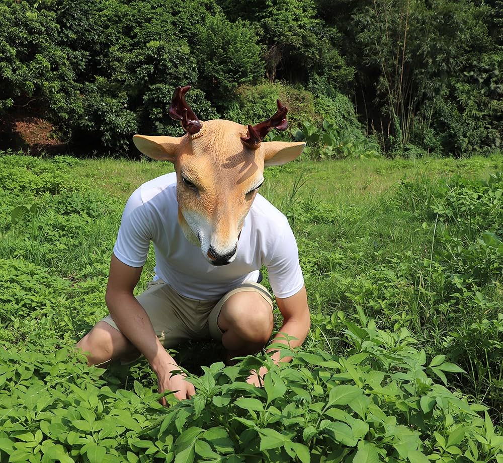 A deer / 鹿 hq720.jpg?sqp=-