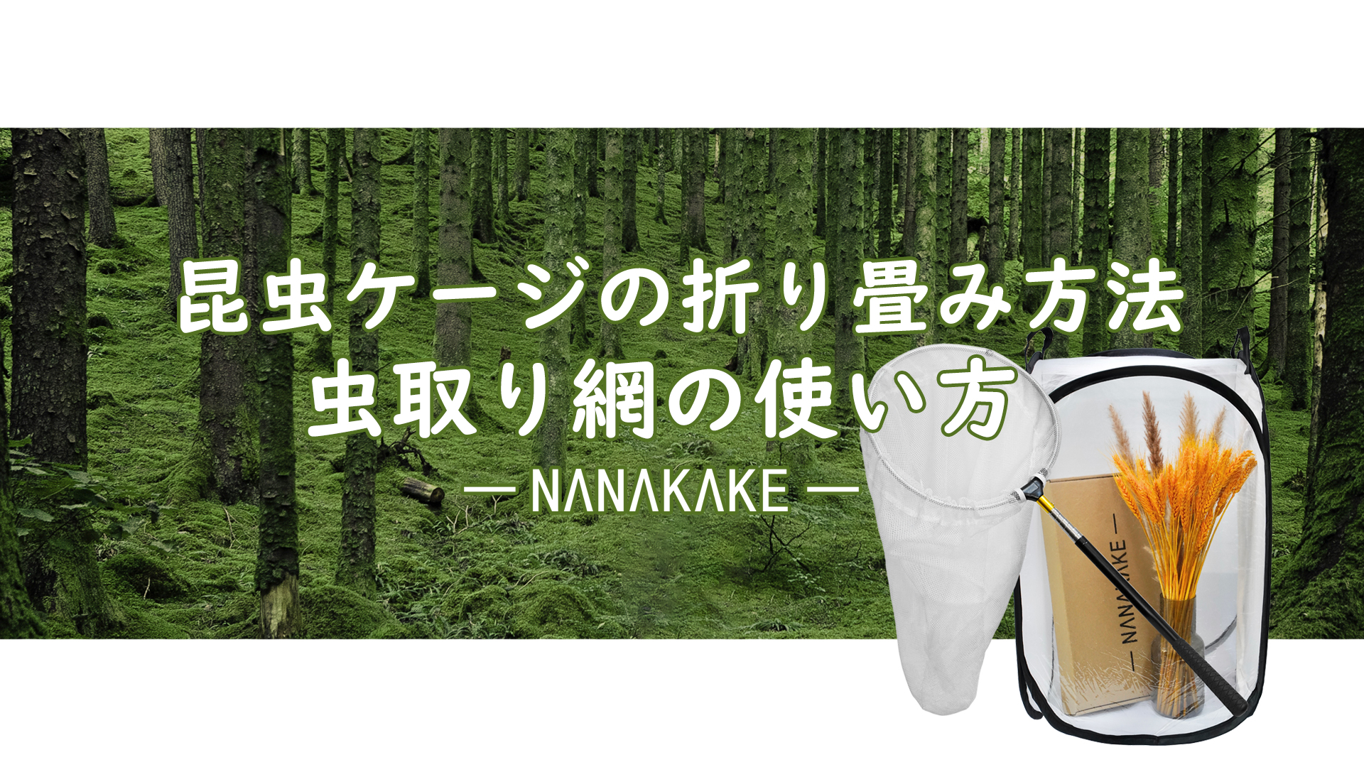 Amazon | Nanakake 虫取り網+昆虫ケージ 昆虫ネット 昆虫採集