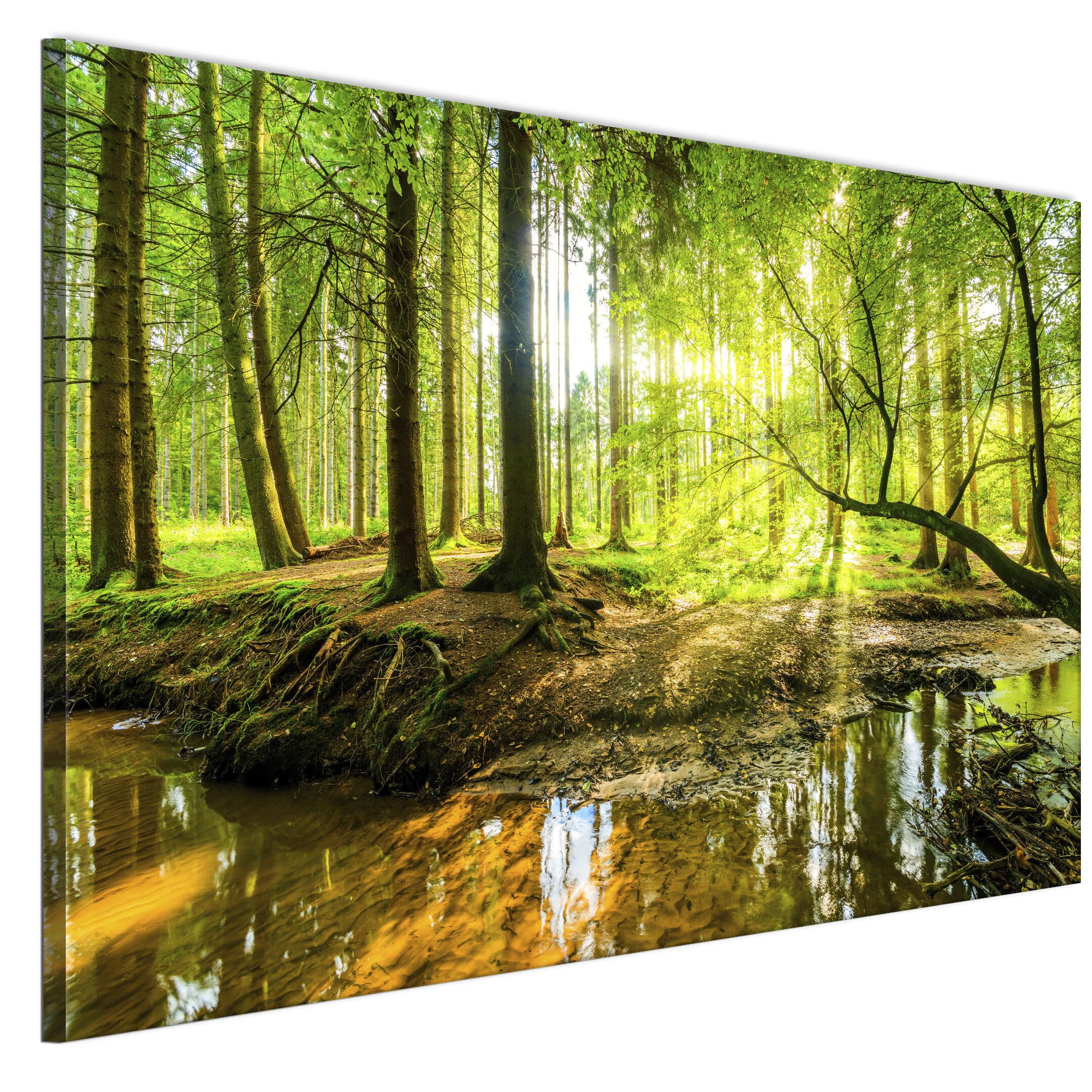 LUMASOUL Wandbilder Wohnzimmer Leinwandbild Wald 120x80 cm