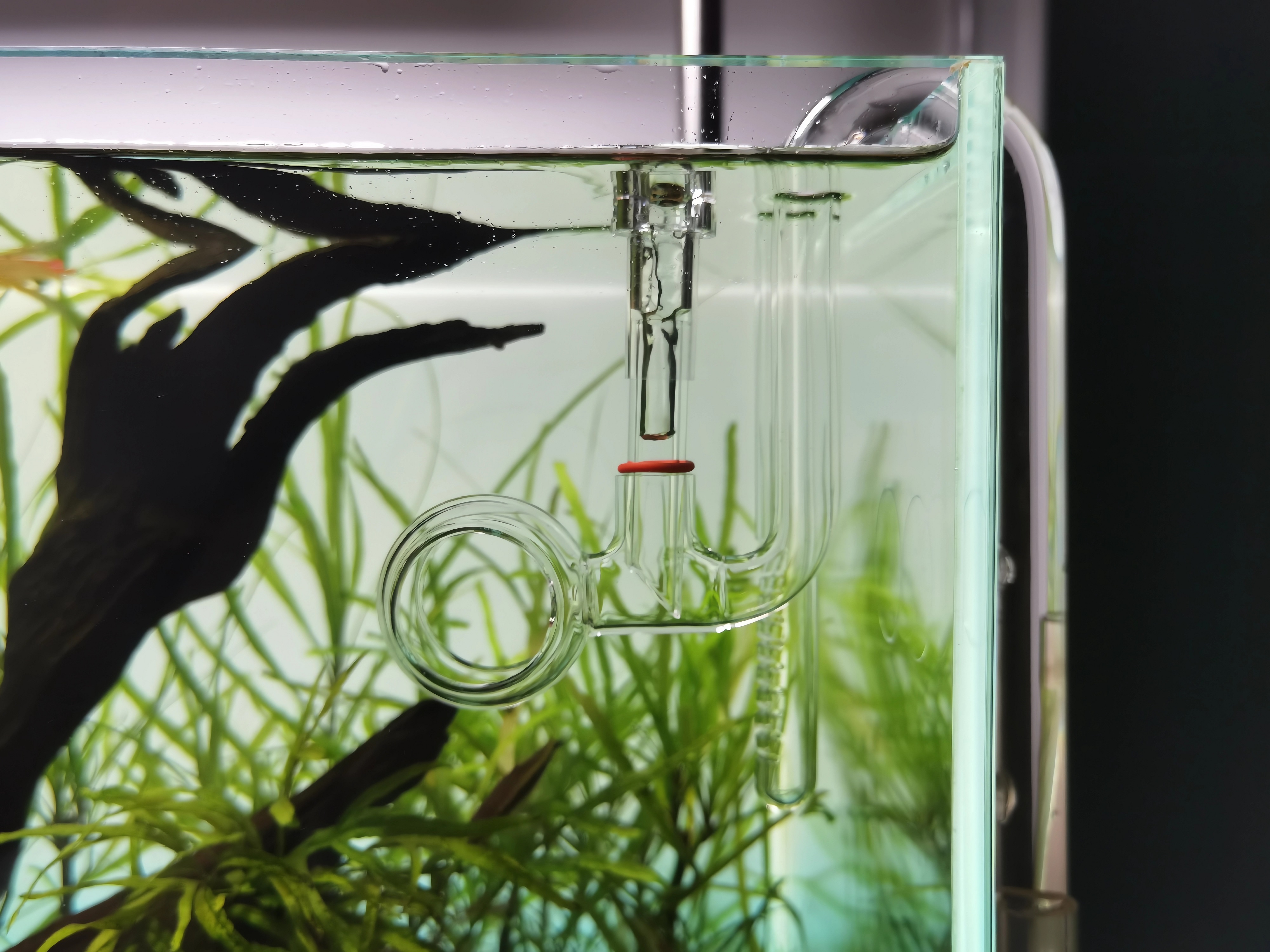 水草育成 ADA NATURE AQUARIUM LILY PIPE V-5 Lily Pipe Inflow V-5 13Φ - ADA South Africa