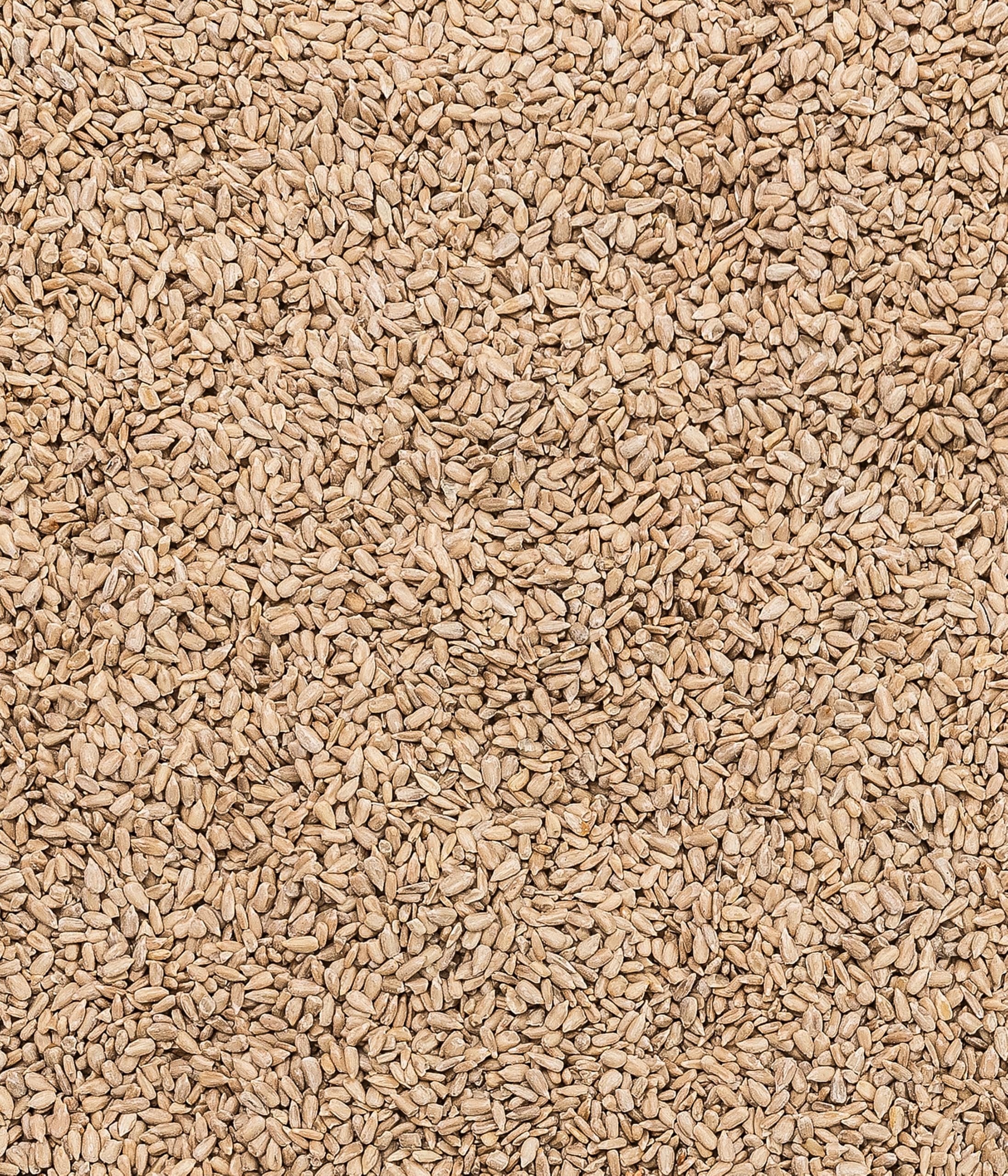 Dehner Natura Premium - Comida para Aves Silvestres sin cáscara, para Todo el año, Rica en proteínas, Alta energía, alimento para Aves Silvestres, 1 kg
