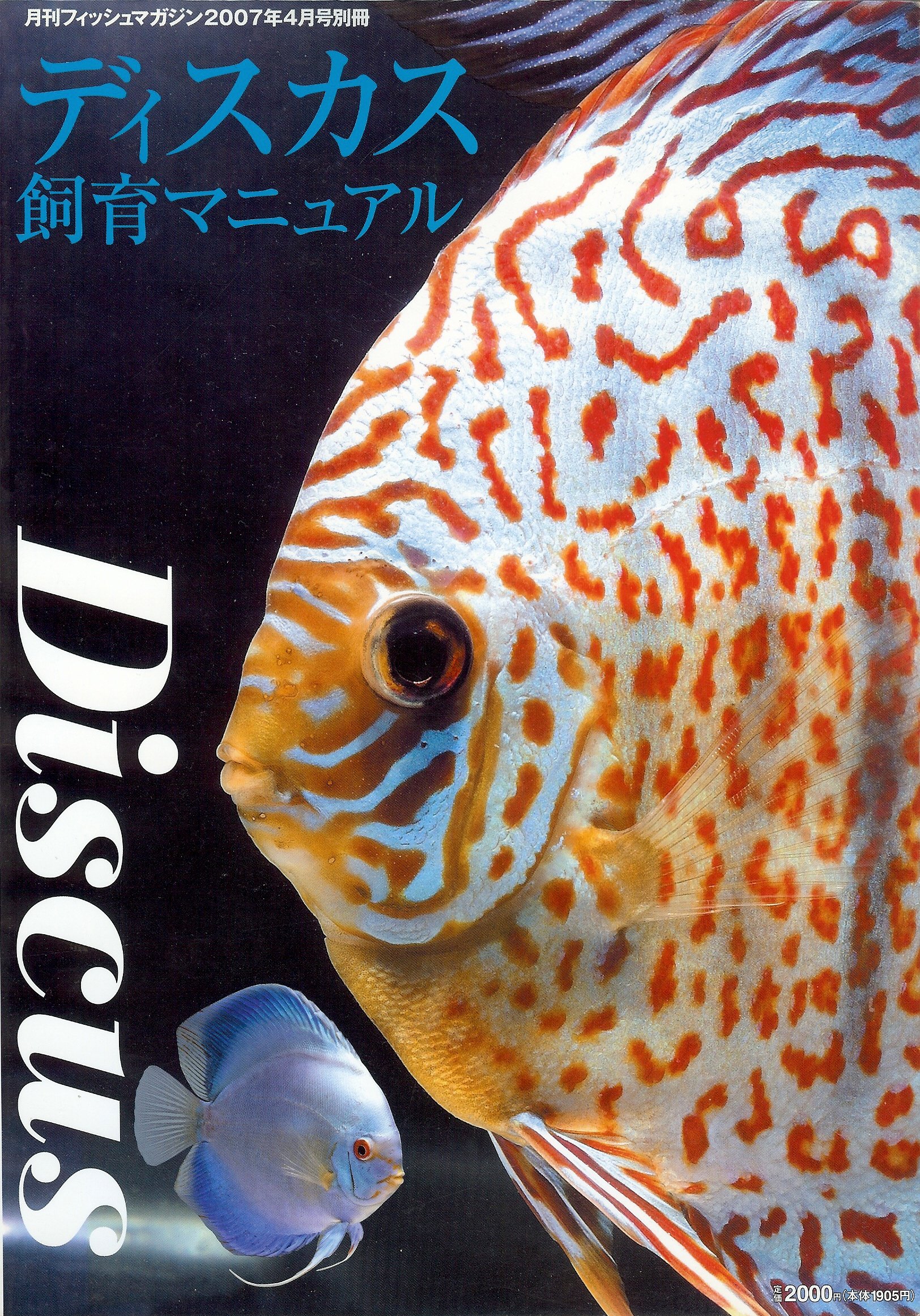 月刊フィッシュマガジン別冊 ディスカス飼育マニュアル フィッシュマガジン編集部 本 通販 Amazon