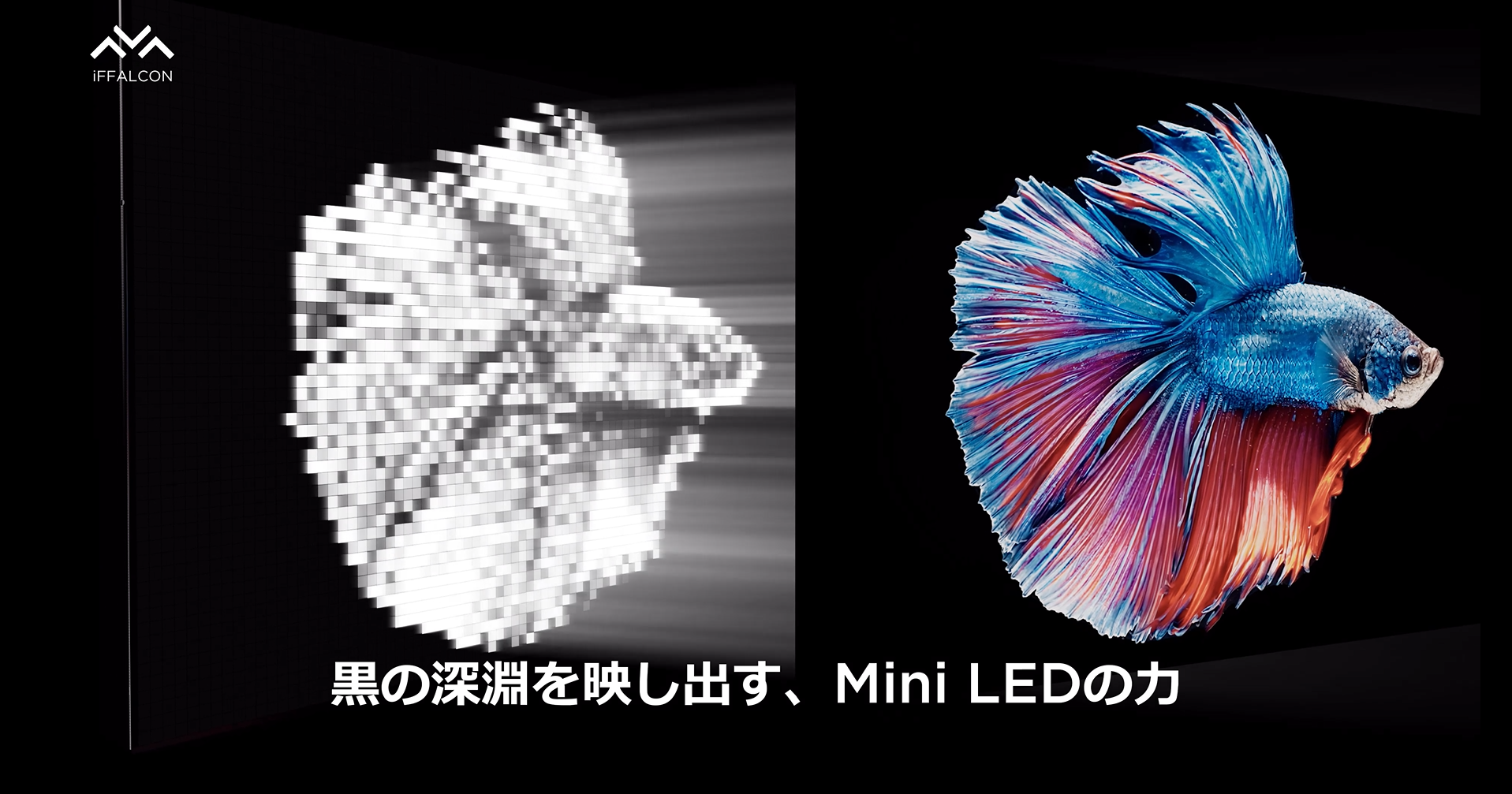 Amazon.co.jp: iFFALCON 4K 液晶 Mini LED 55V型 テレビ 倍速 Google 