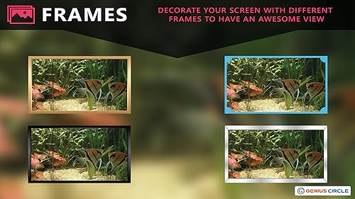 free couple fish aquarium HD - aproveite o romance de peixes em sua TV HDR 4K, TV 8K e dispositivos