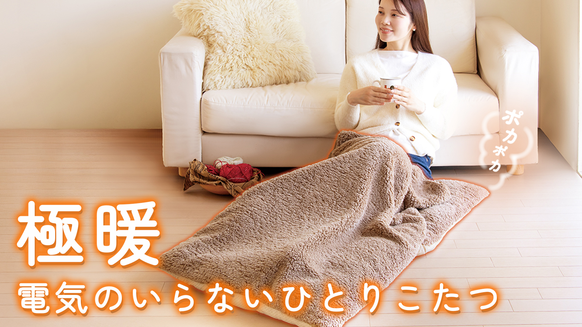 Amazon.co.jp: アルファックス フットウォーマー 脚入れ 足入れ 毛布