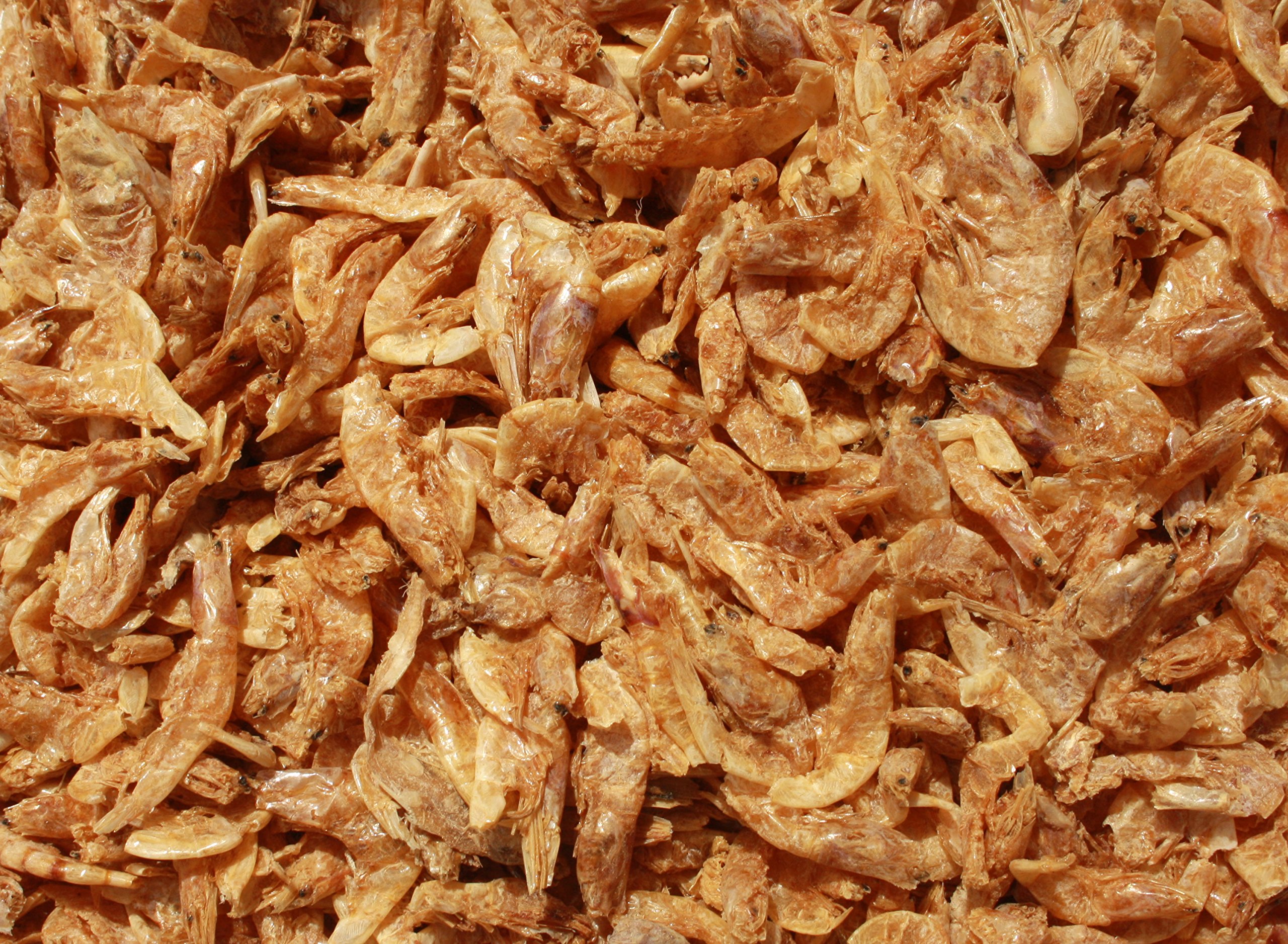 Koifutter Sommer, Garnelen, Koi Gambas, Riesen Shrimps, getrocknete große Süßwassergarnelen, Koifutter Naturnahrung, gesunder, beliebter Koisnack für die Handfütterung der Koi im Sommer 10kg Sack